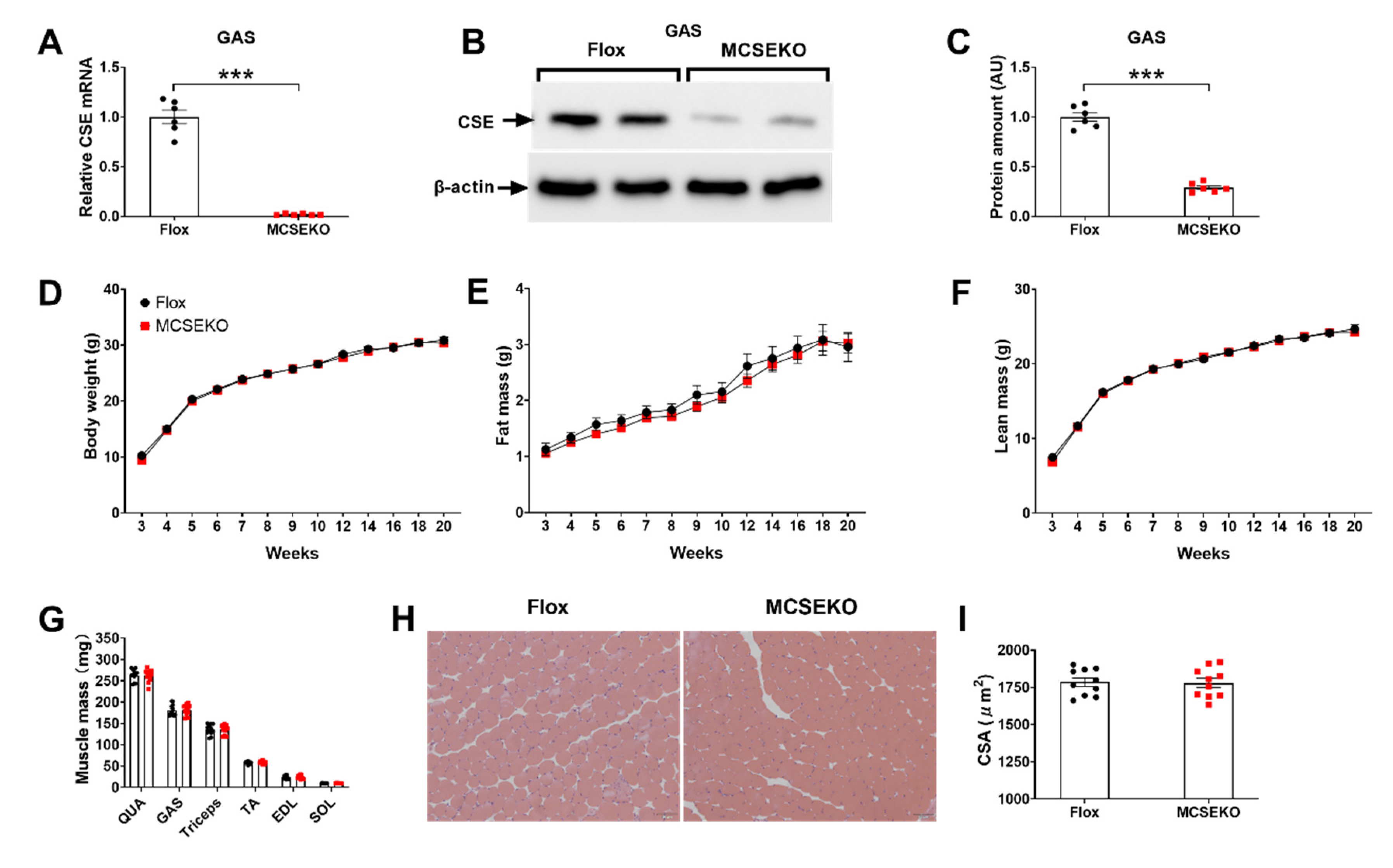 Antioxidants 11 02216 g001
