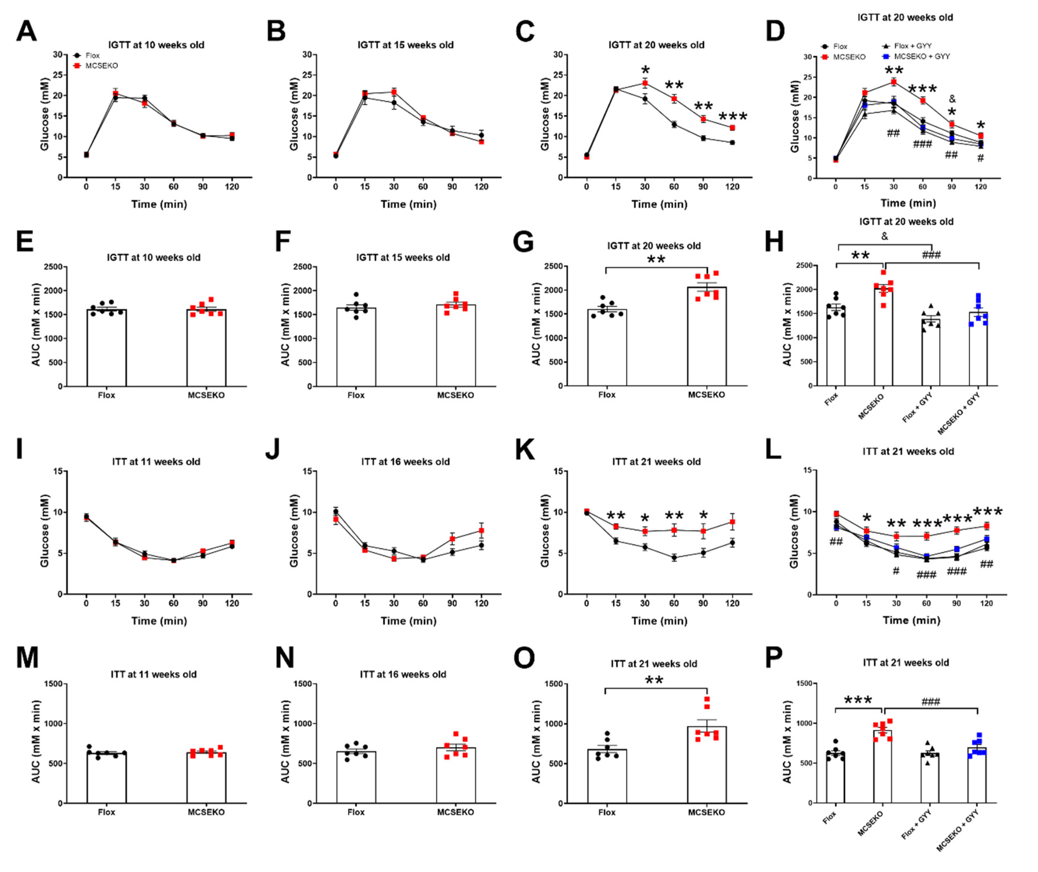 Antioxidants 11 02216 g004
