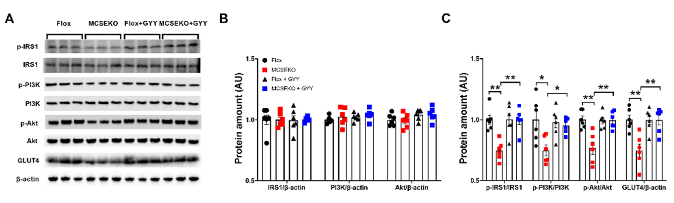 Antioxidants 11 02216 g005