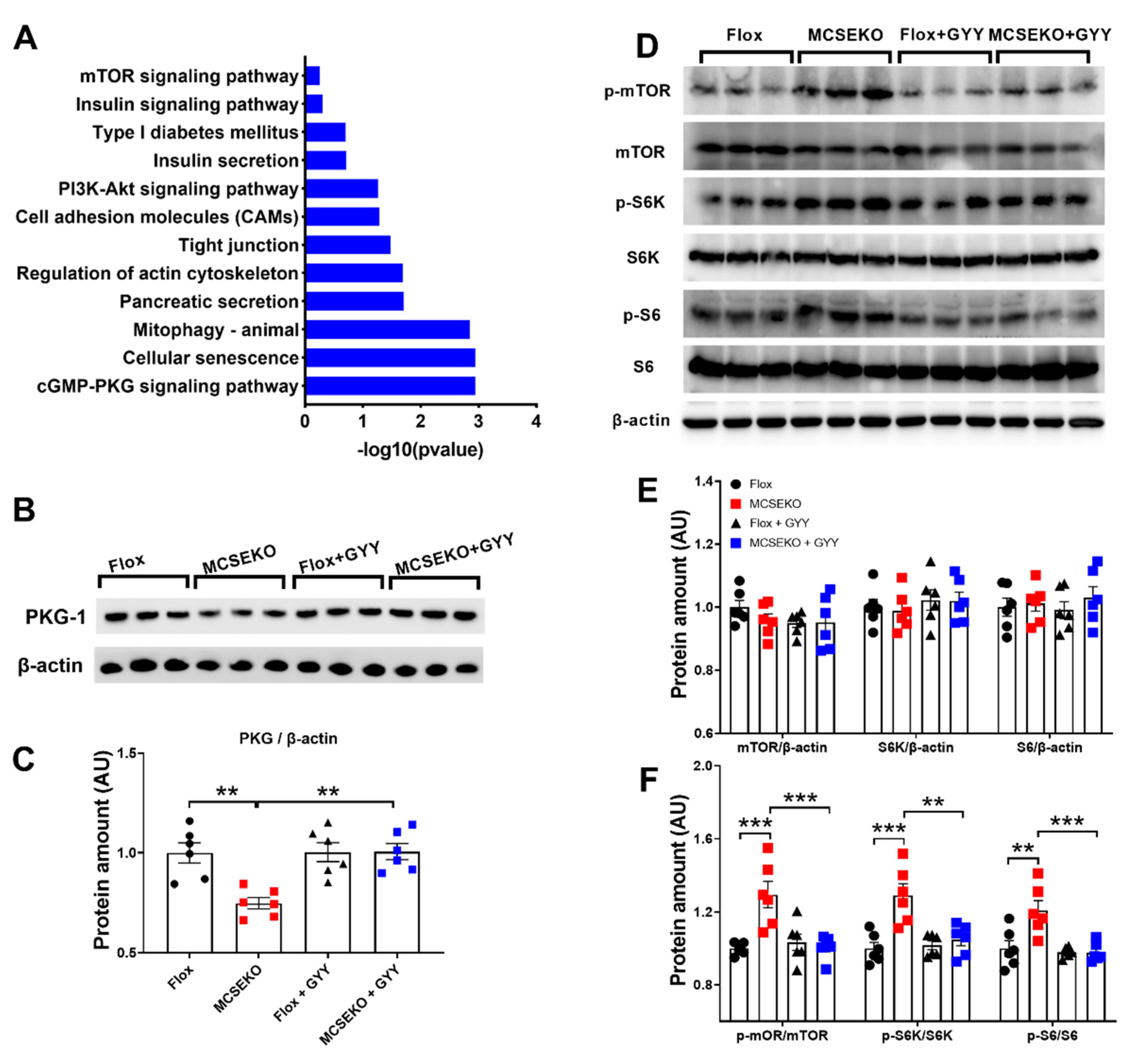 Antioxidants 11 02216 g006