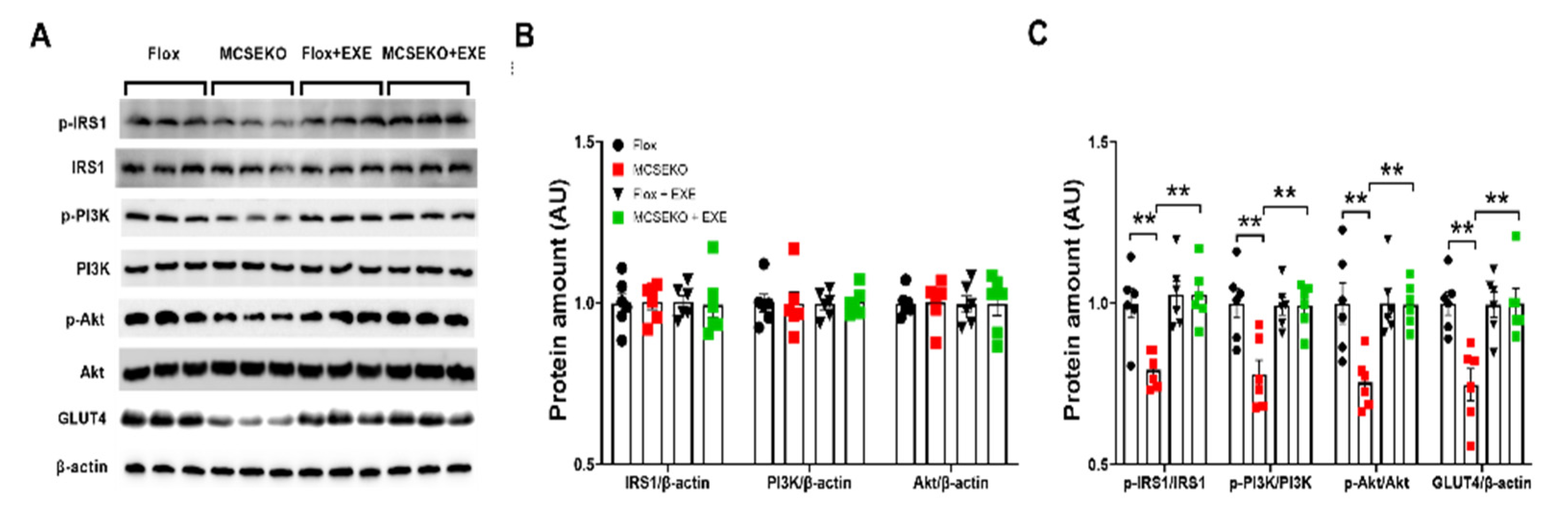 Antioxidants 11 02216 g008