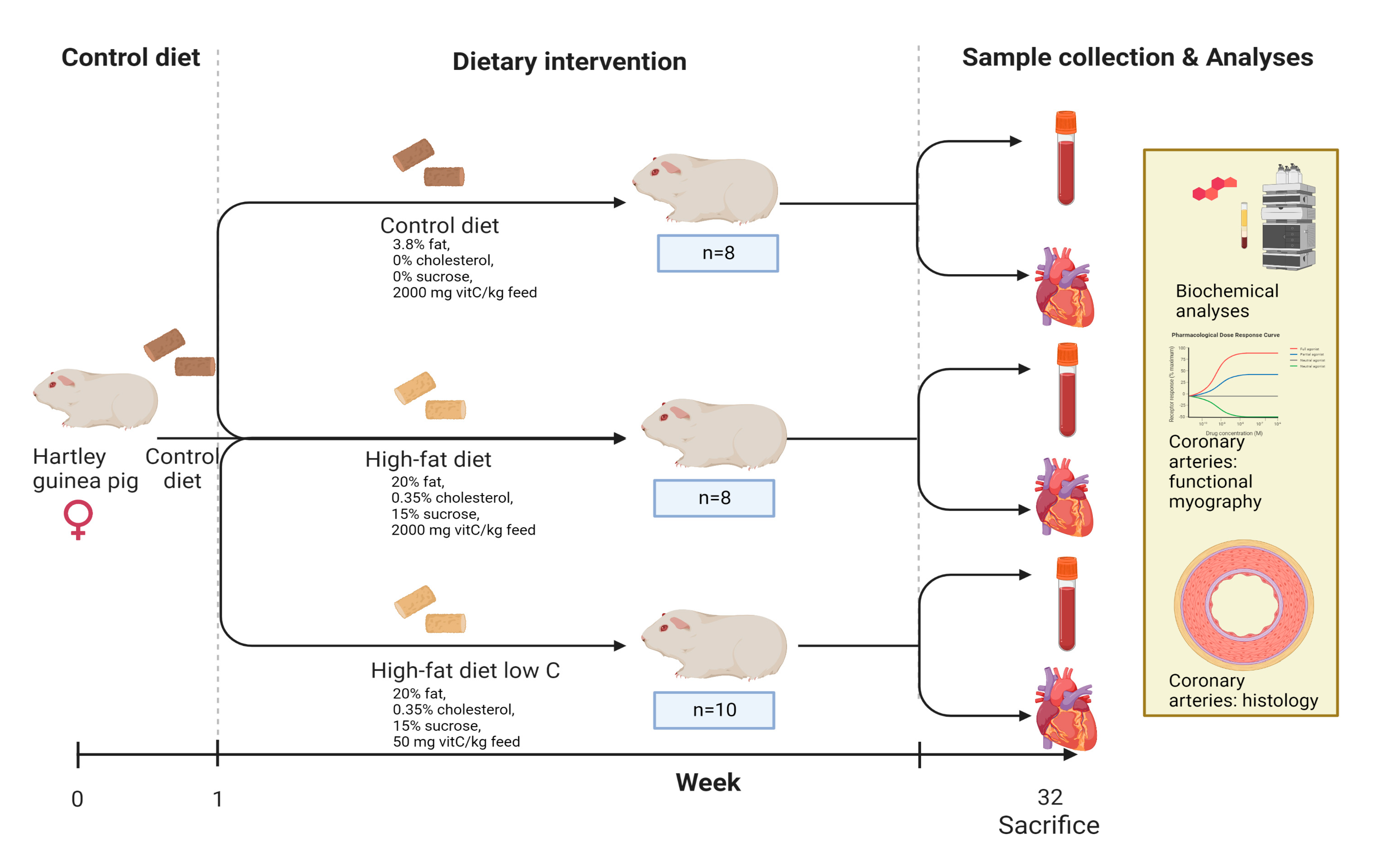 Antioxidants 11 02226 g001