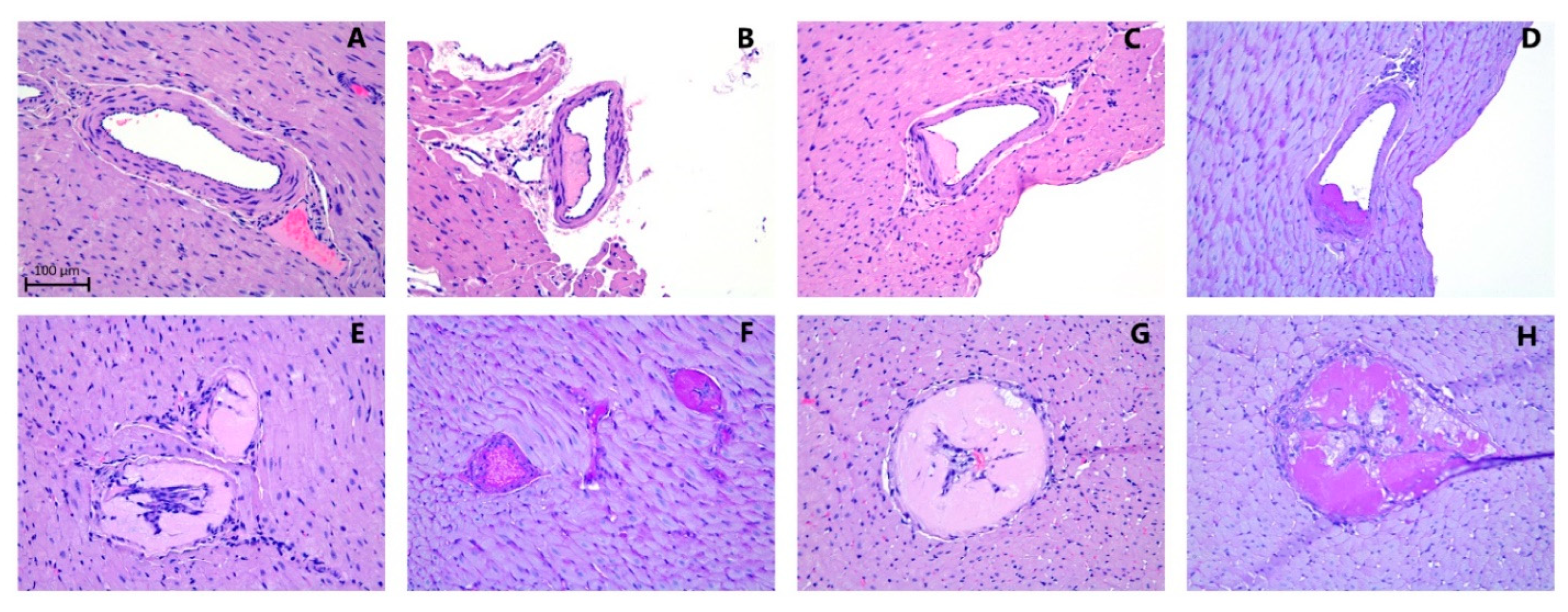 Antioxidants 11 02226 g005