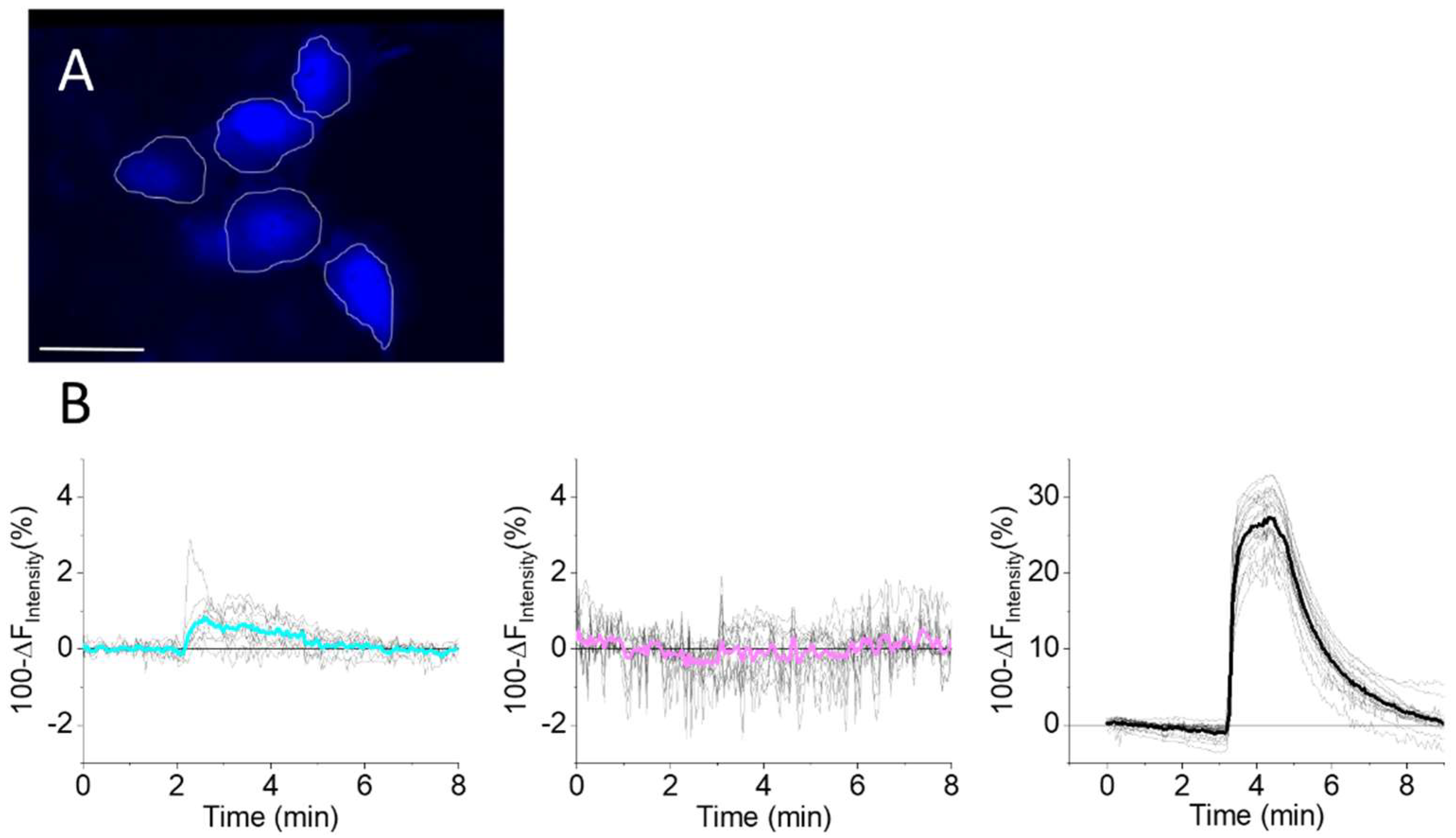 Antioxidants 11 02229 g006