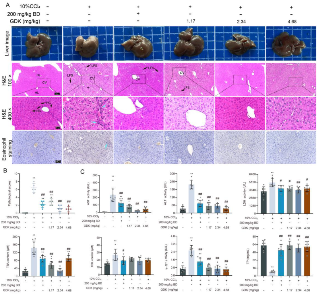 Antioxidants 11 02234 g002 Antioxidants 11 02234 g002