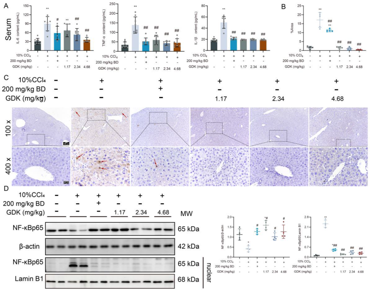 Antioxidants 11 02234 g003 Antioxidants 11 02234 g003