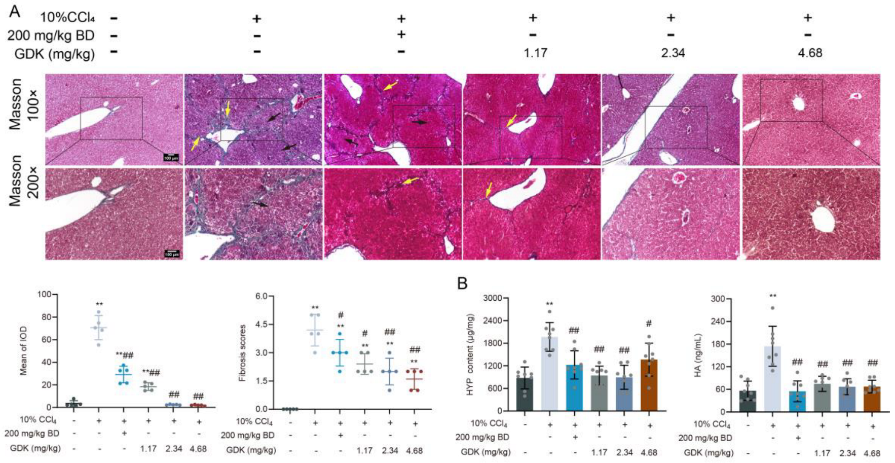 Antioxidants 11 02234 g004 Antioxidants 11 02234 g004