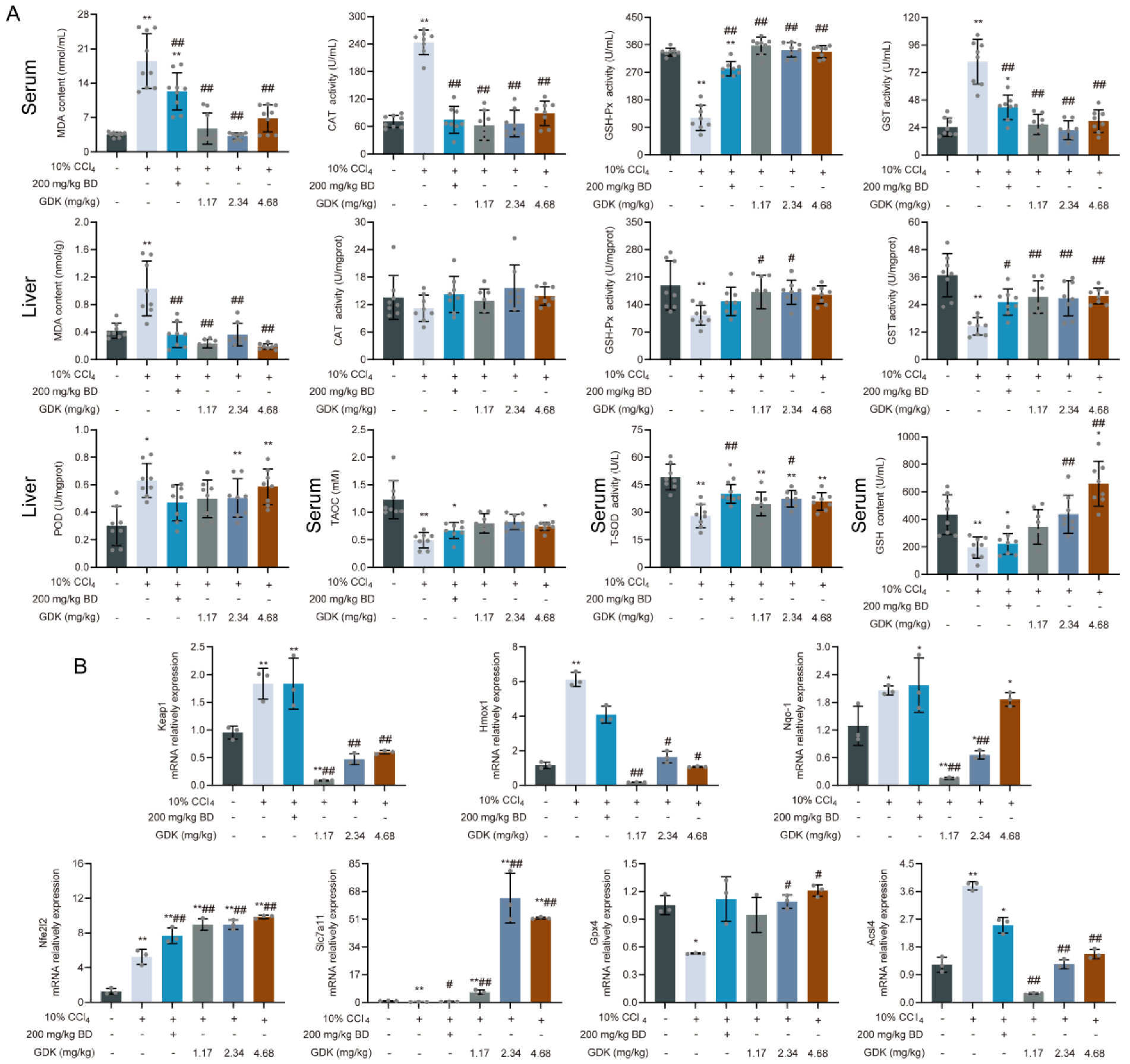 Antioxidants 11 02234 g005 Antioxidants 11 02234 g005