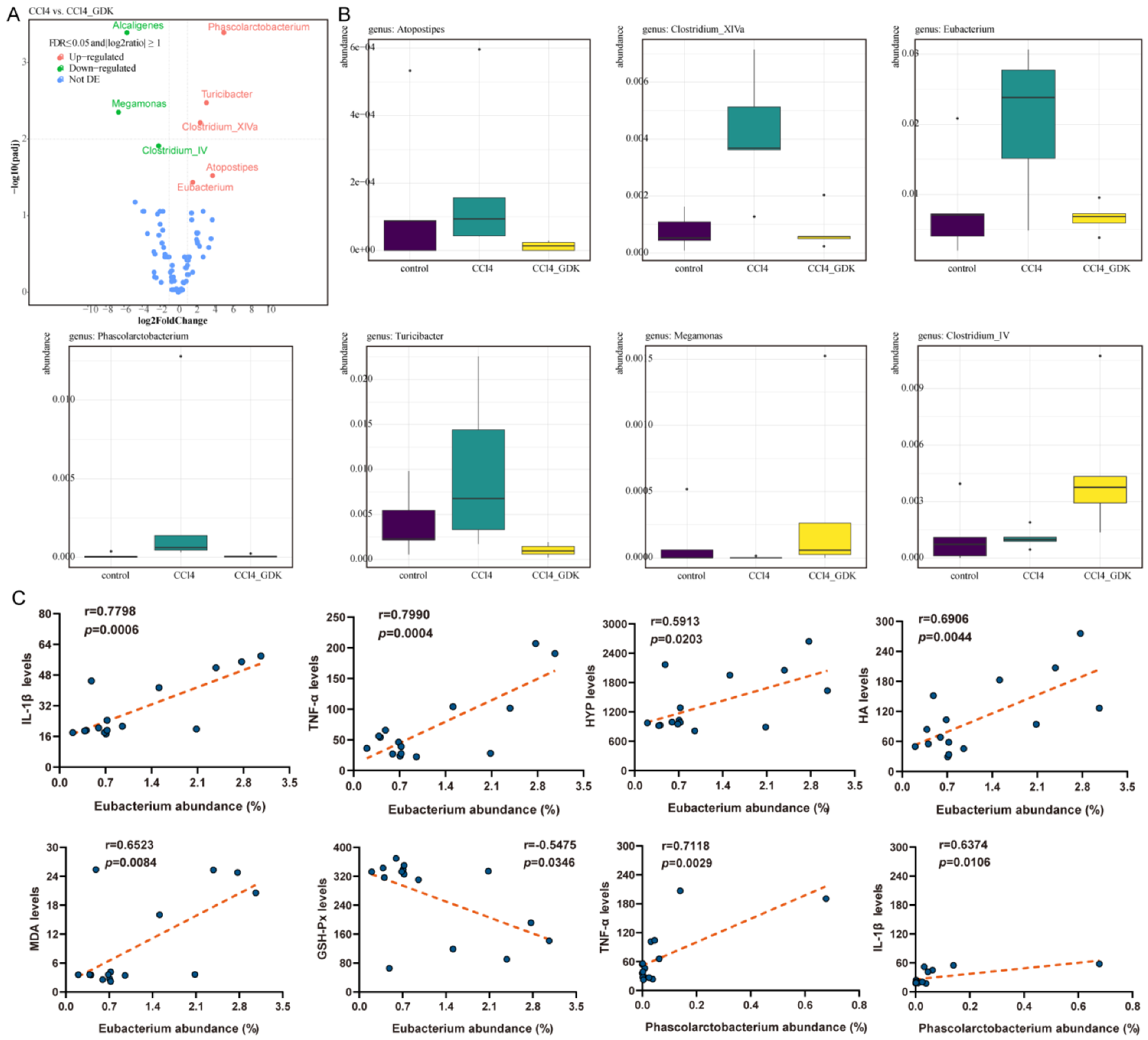 Antioxidants 11 02234 g007 Antioxidants 11 02234 g007