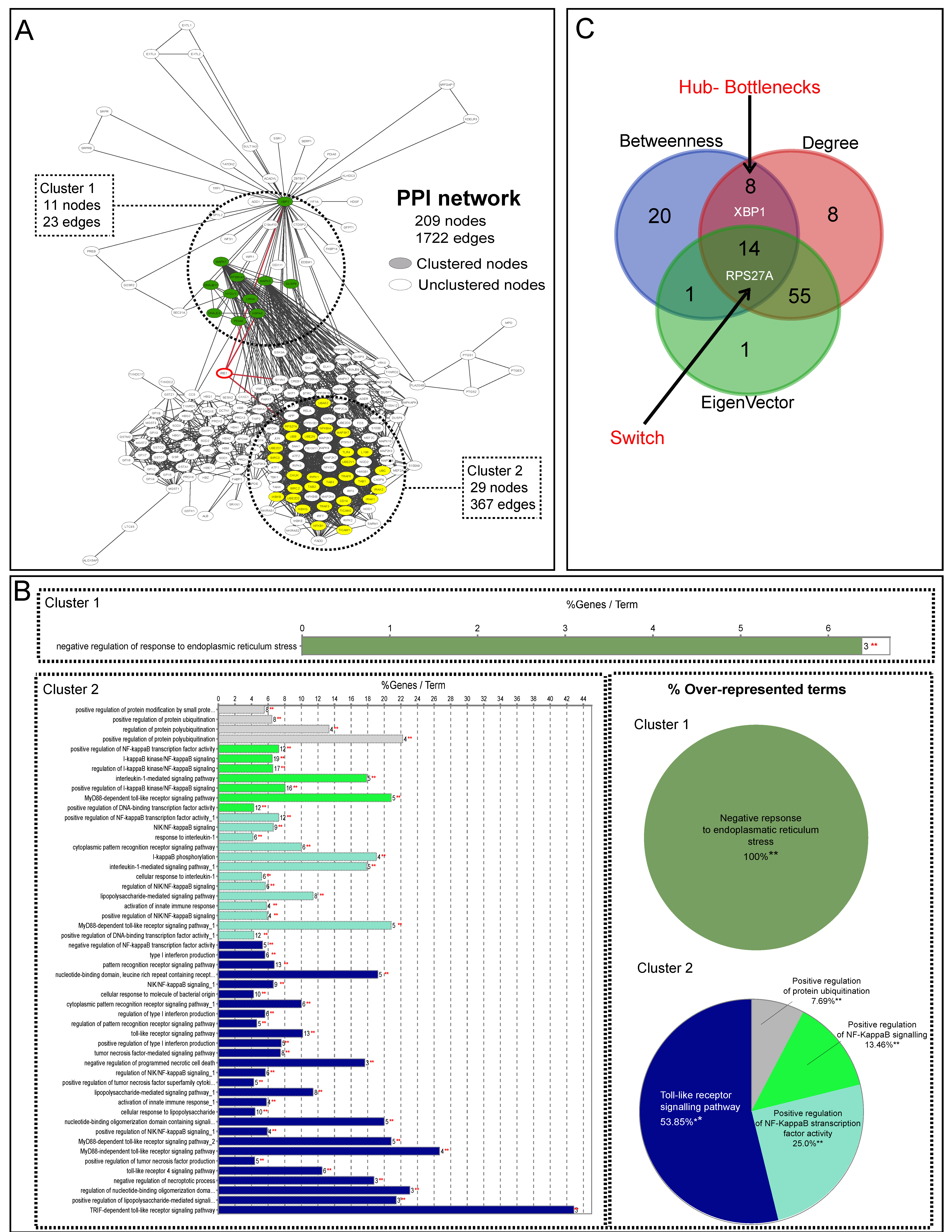 Antioxidants 11 02242 g002