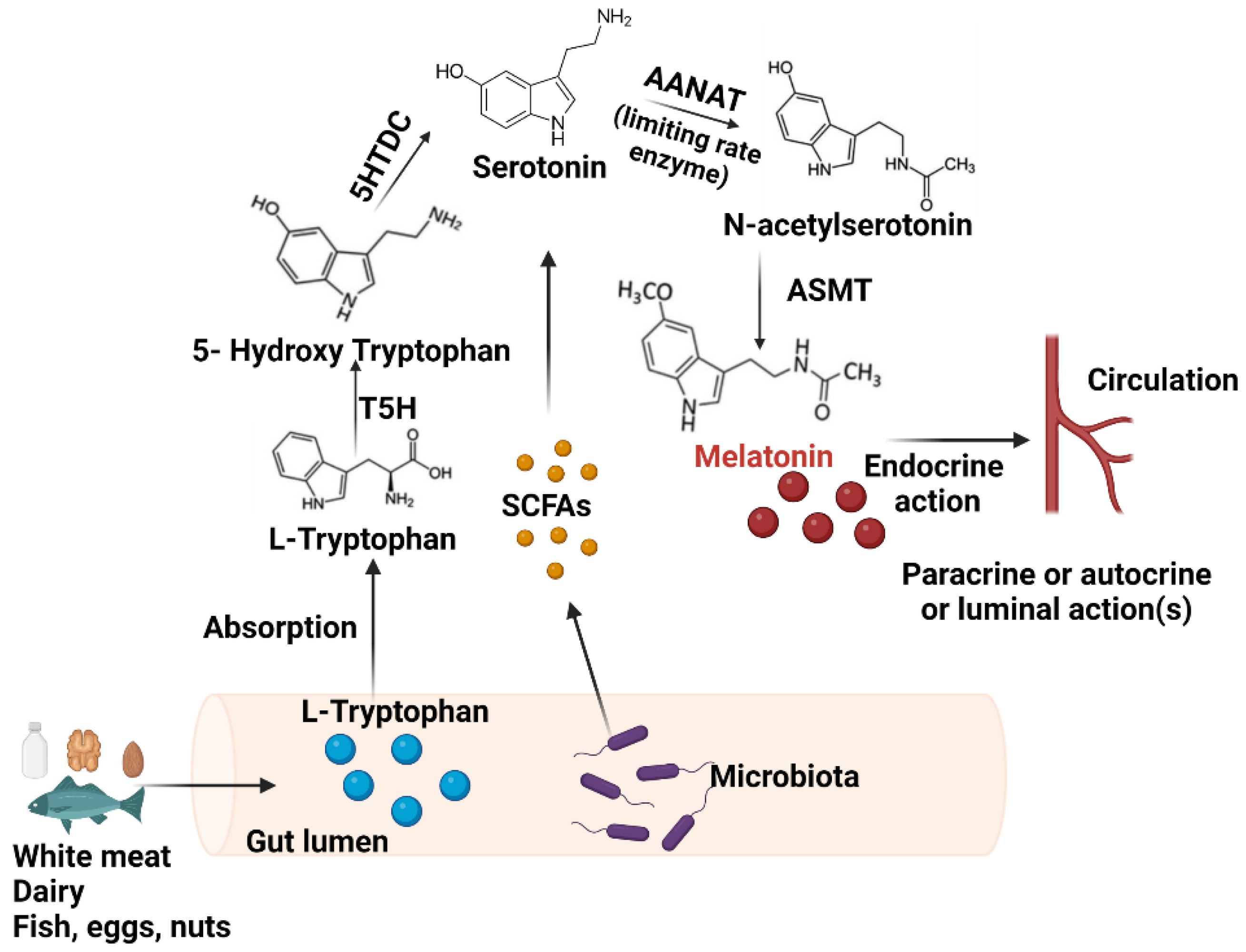 Antioxidants 11 02244 g001