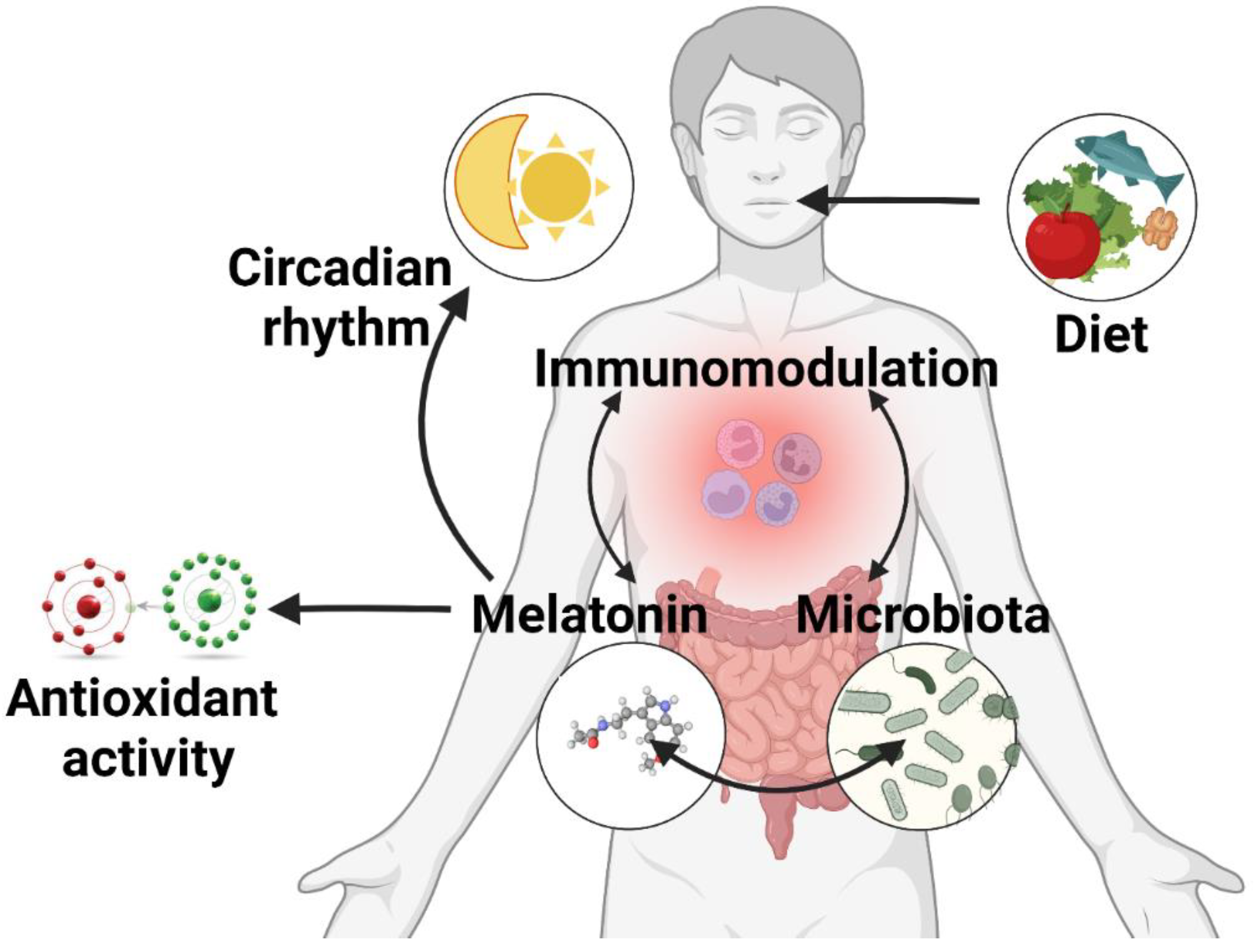 Antioxidants 11 02244 g002