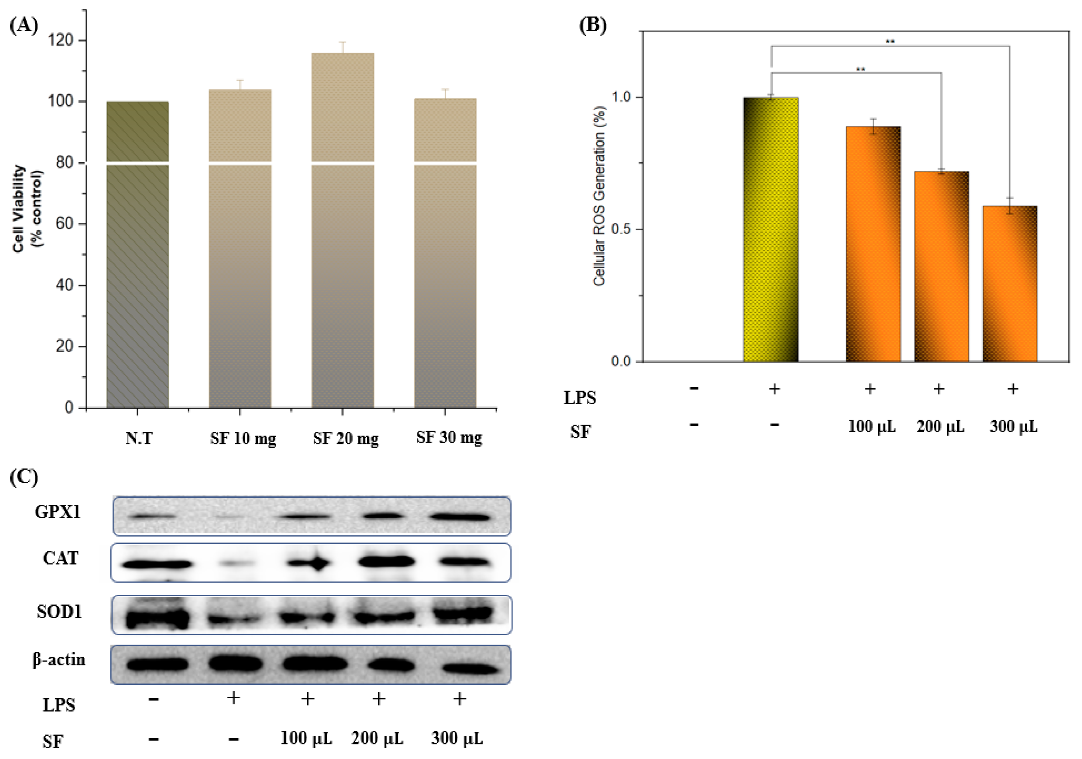 Antioxidants 11 02246 g002
