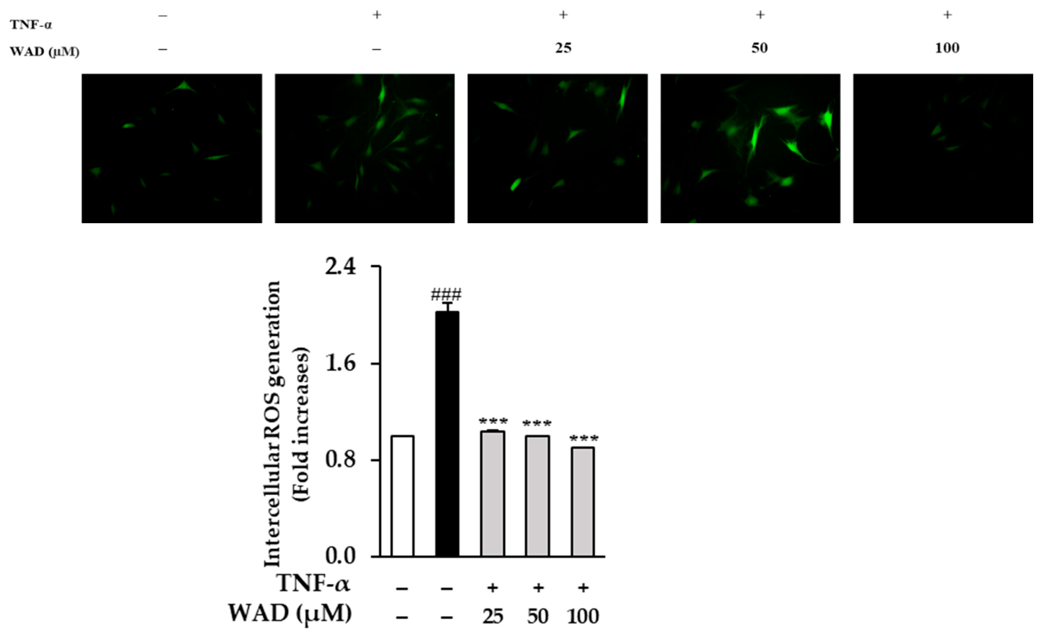 Antioxidants 11 02248 g003