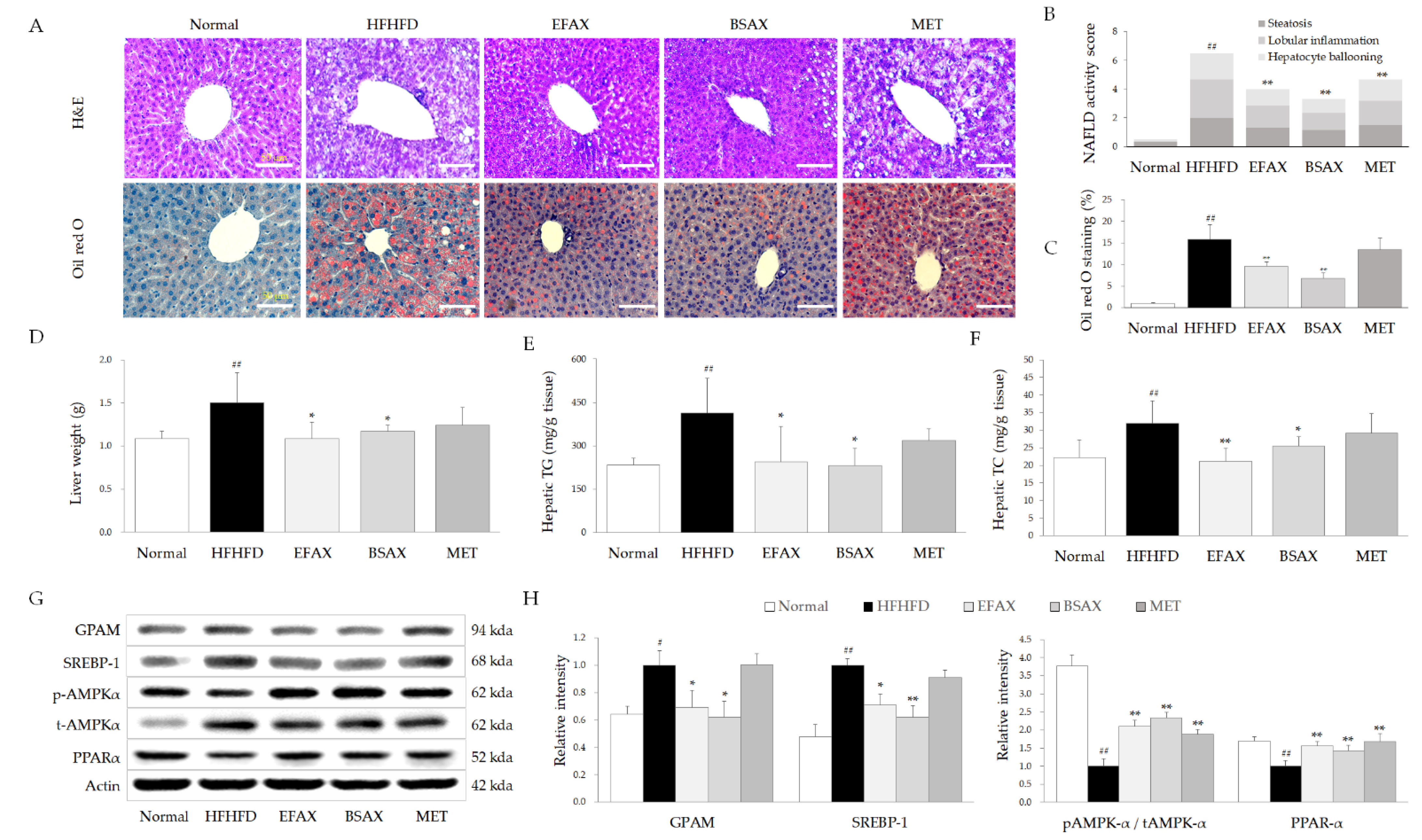Antioxidants 11 02254 g003 Antioxidants 11 02254 g003