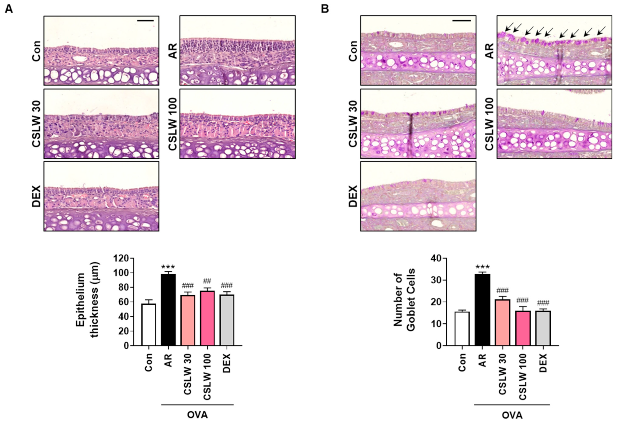 Antioxidants 11 02256 g004 Antioxidants 11 02256 g004
