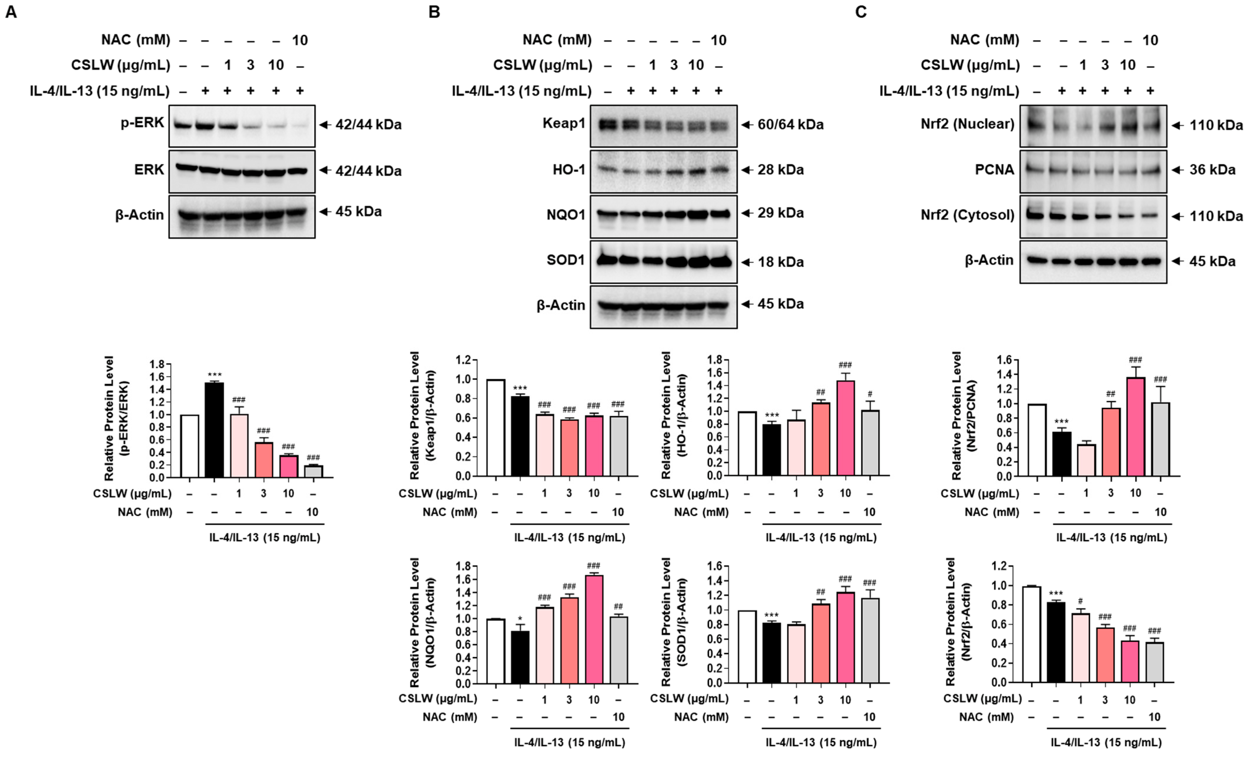 Antioxidants 11 02256 g007 Antioxidants 11 02256 g007