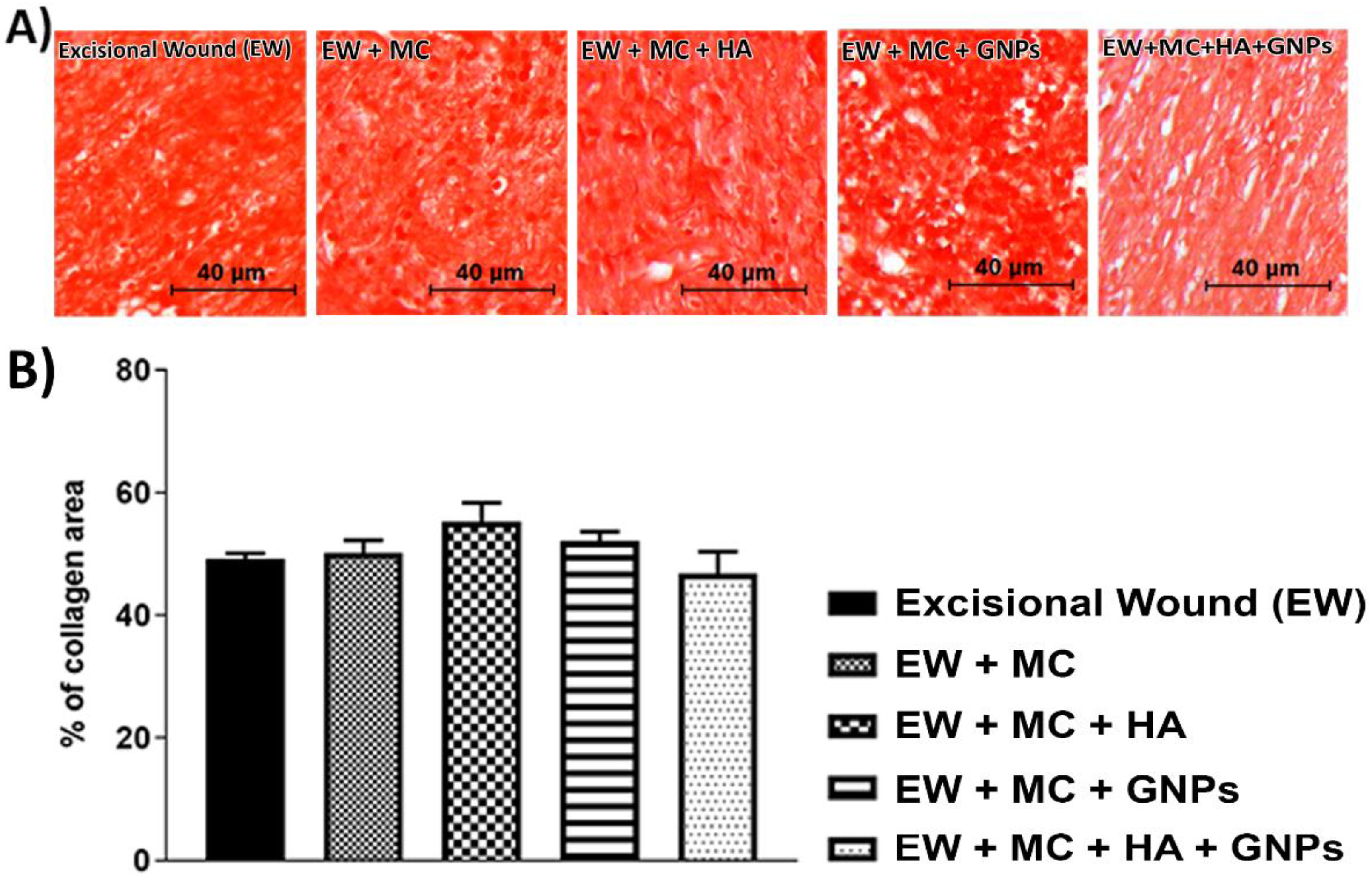 Antioxidants 11 02257 g004