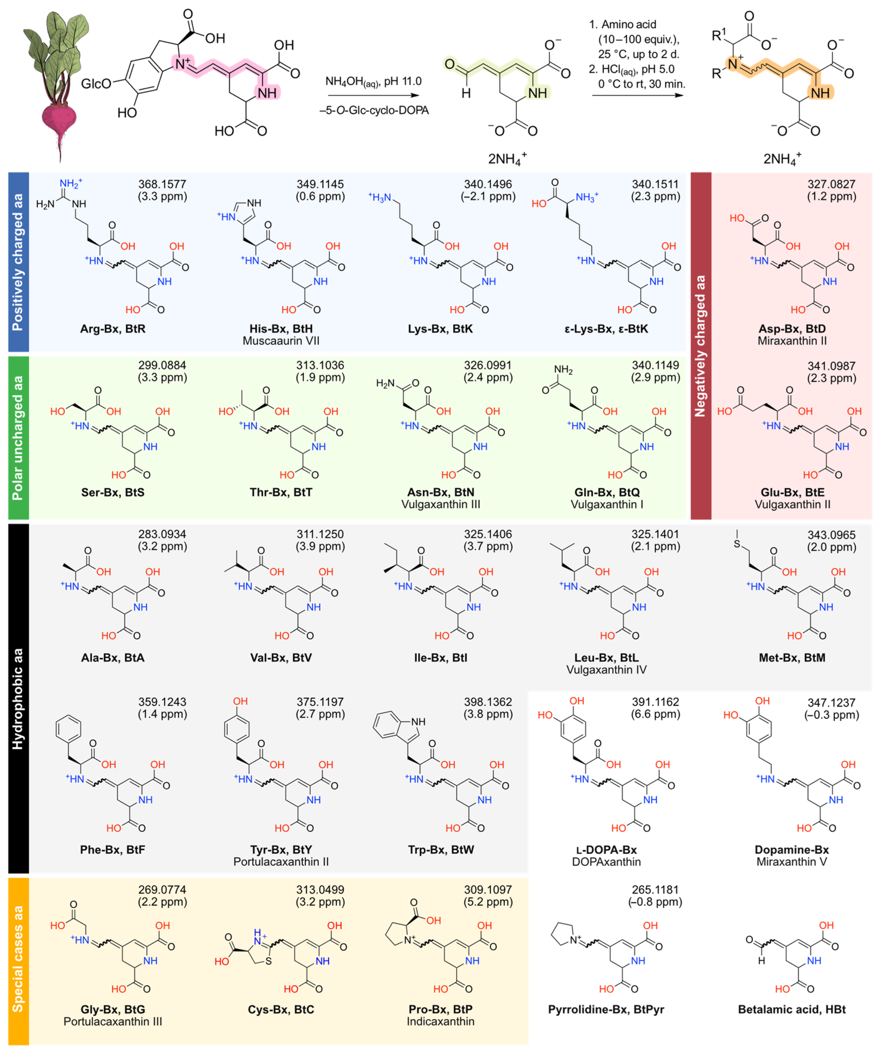 Antioxidants 11 02259 g001