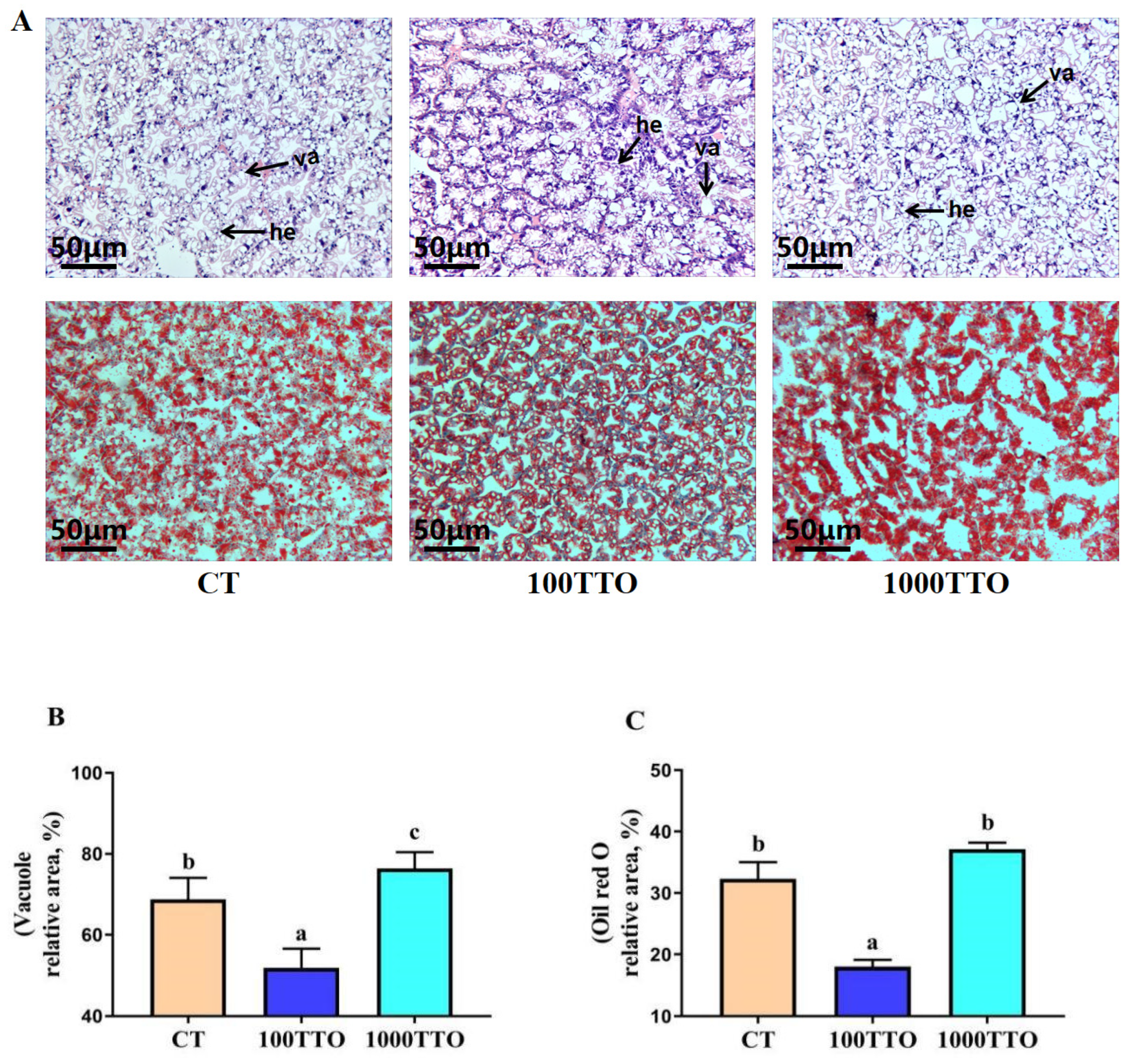Antioxidants 11 02260 g001 Antioxidants 11 02260 g001