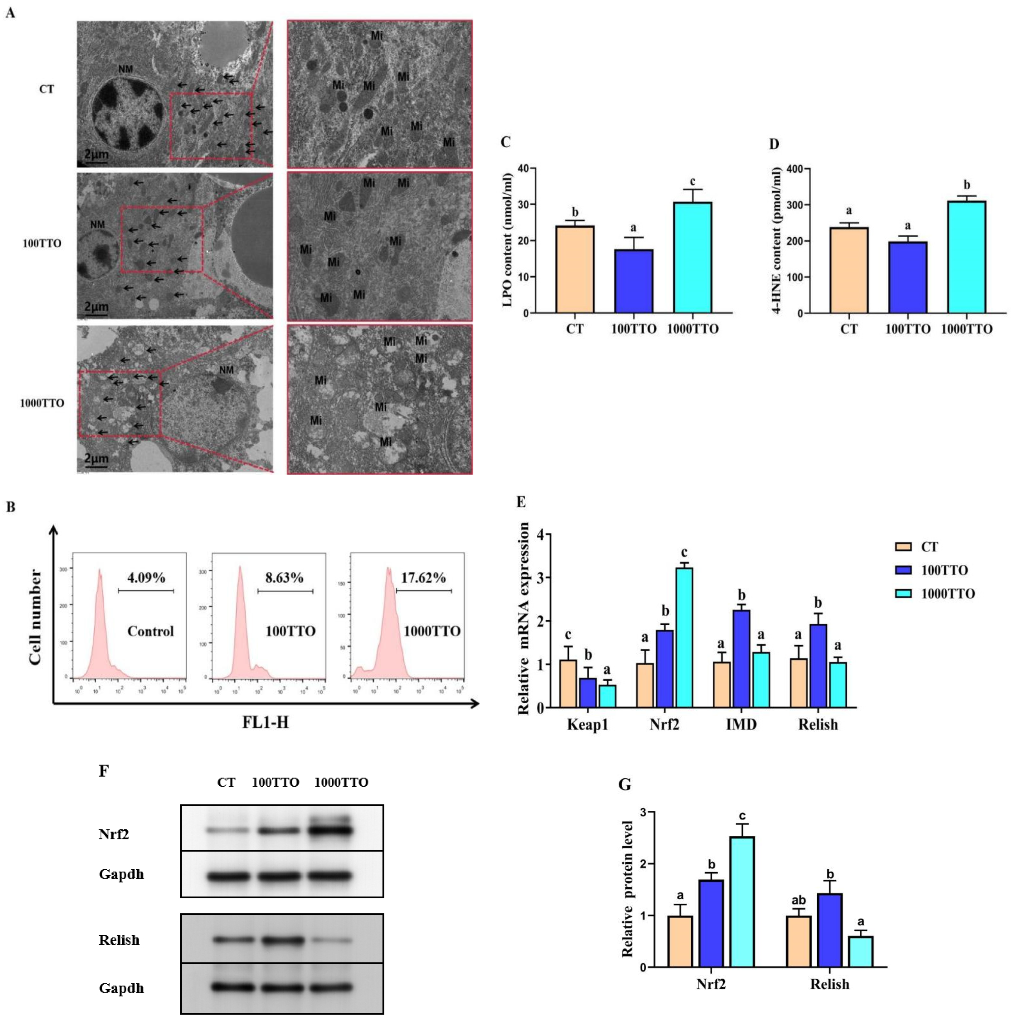 Antioxidants 11 02260 g006 Antioxidants 11 02260 g006