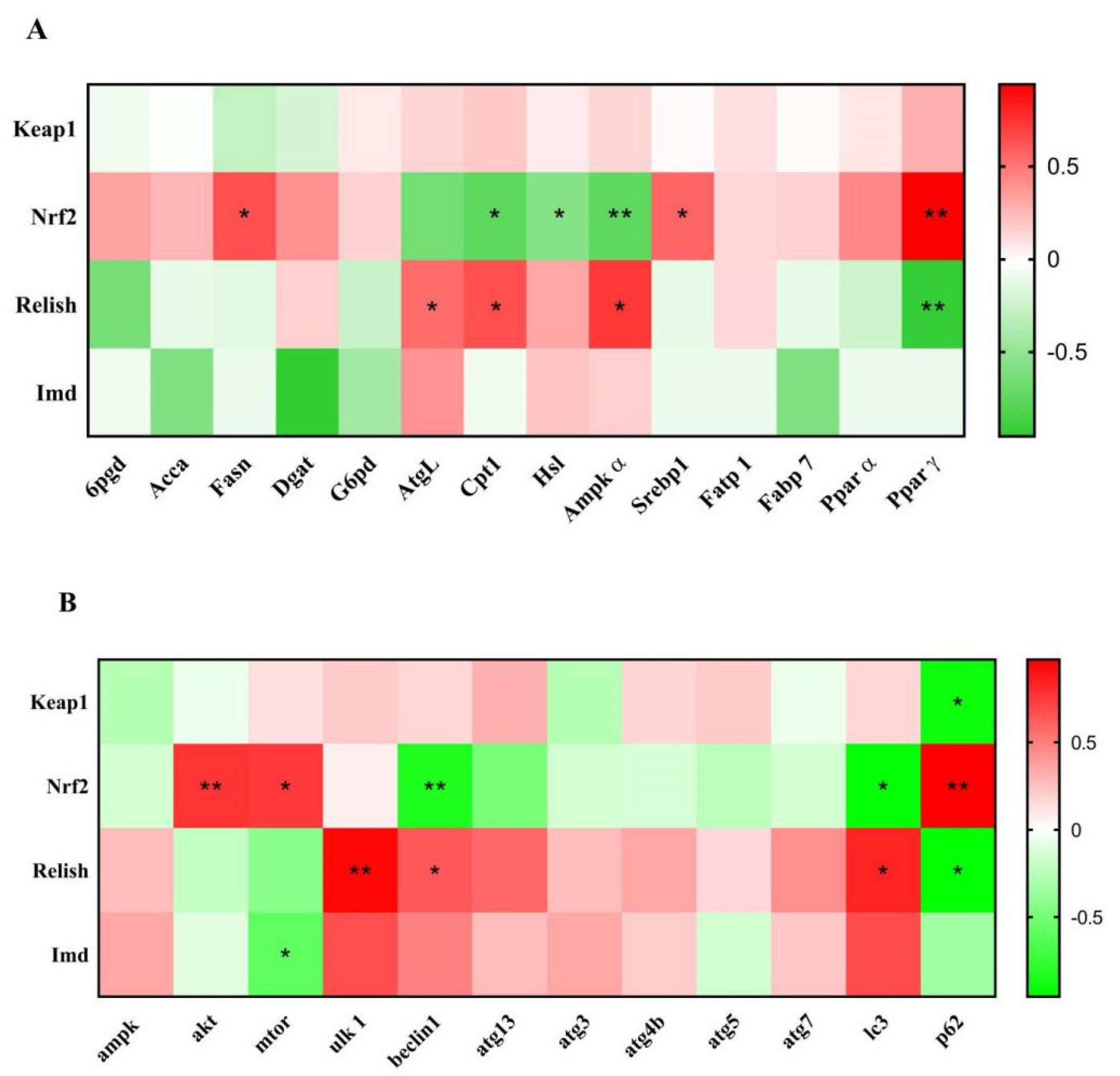 Antioxidants 11 02260 g008 Antioxidants 11 02260 g008