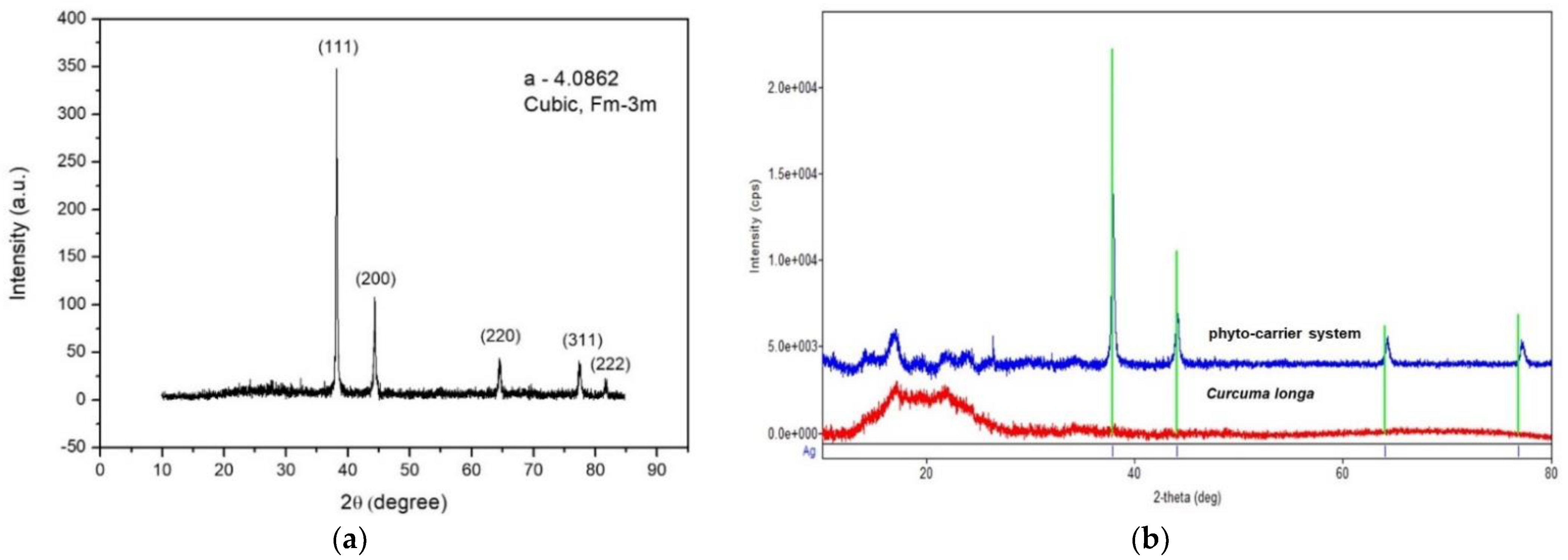 Antioxidants 11 02261 g007 Antioxidants 11 02261 g007
