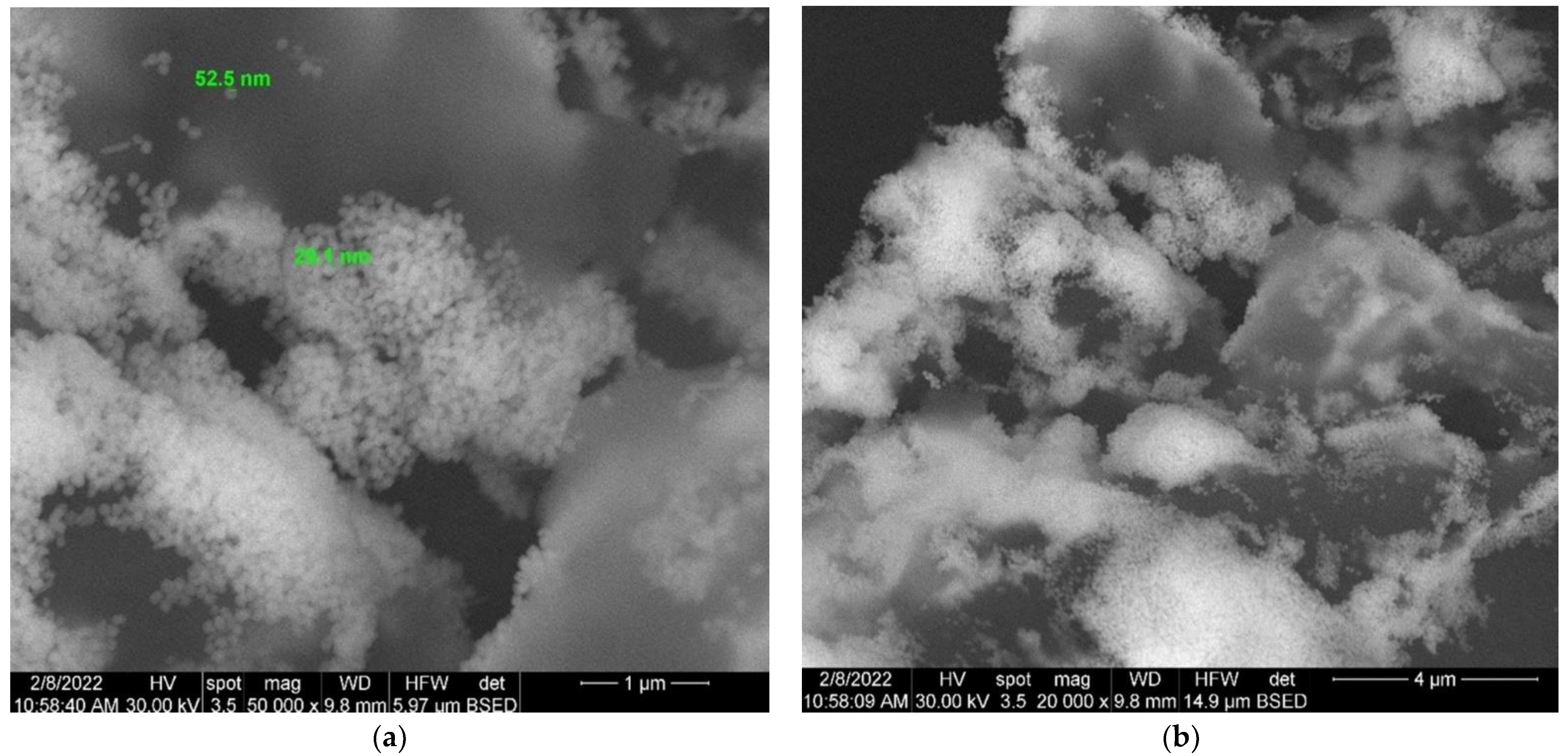 Antioxidants 11 02261 g009 Antioxidants 11 02261 g009