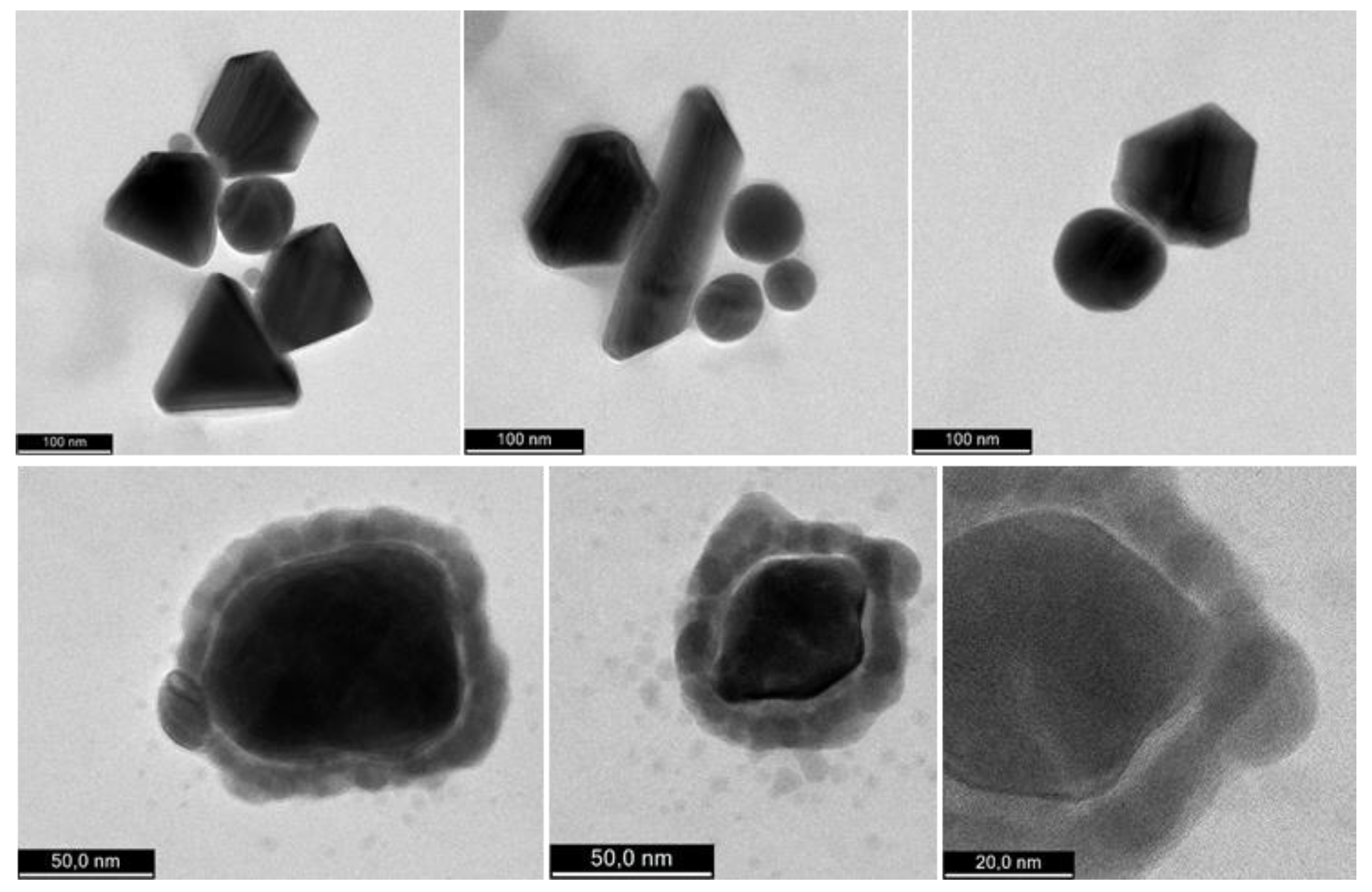 Antioxidants 11 02261 g012 Antioxidants 11 02261 g012