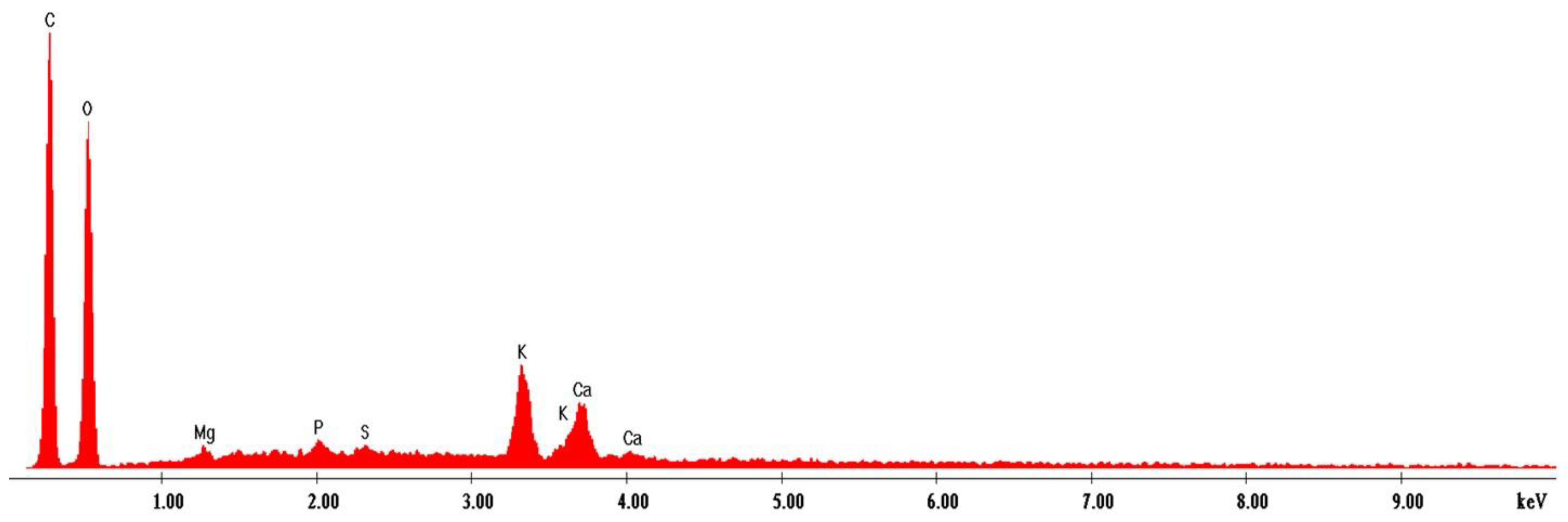Antioxidants 11 02261 g013 Antioxidants 11 02261 g013