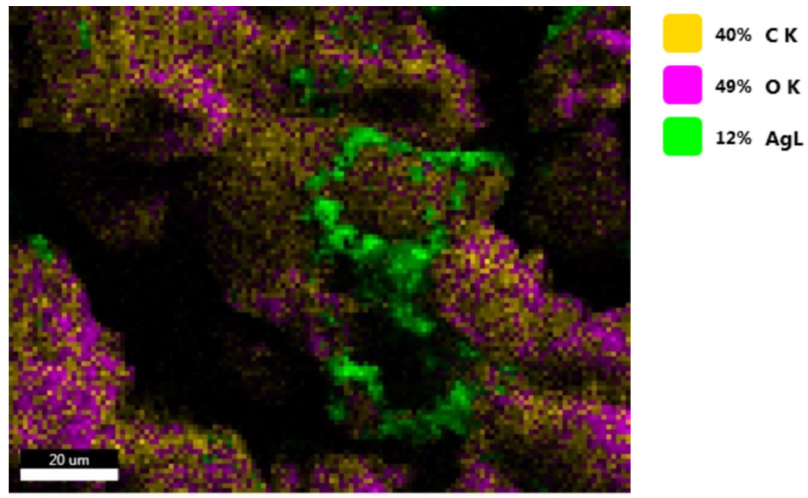 Antioxidants 11 02261 g016 Antioxidants 11 02261 g016