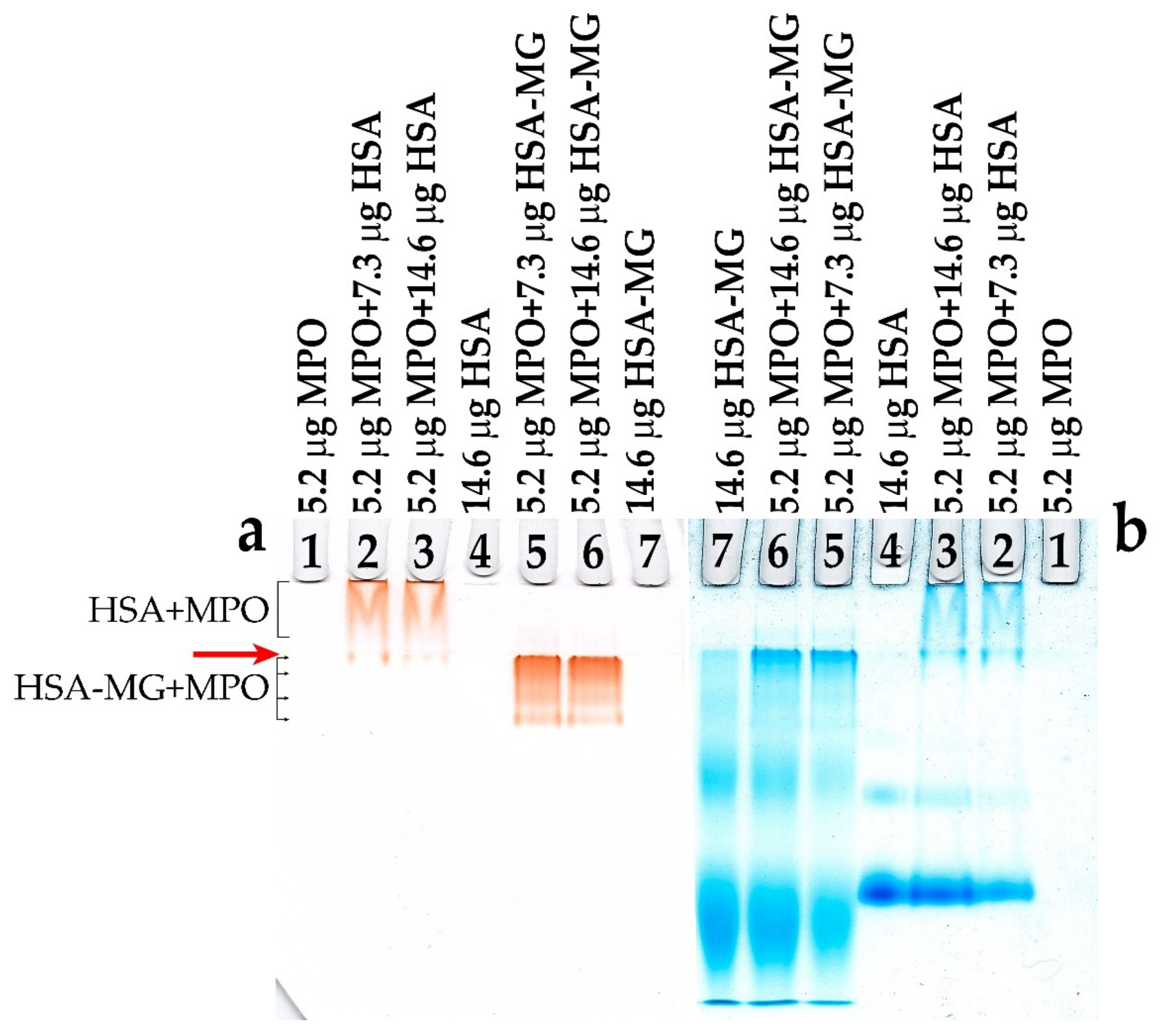 Antioxidants 11 02263 g002