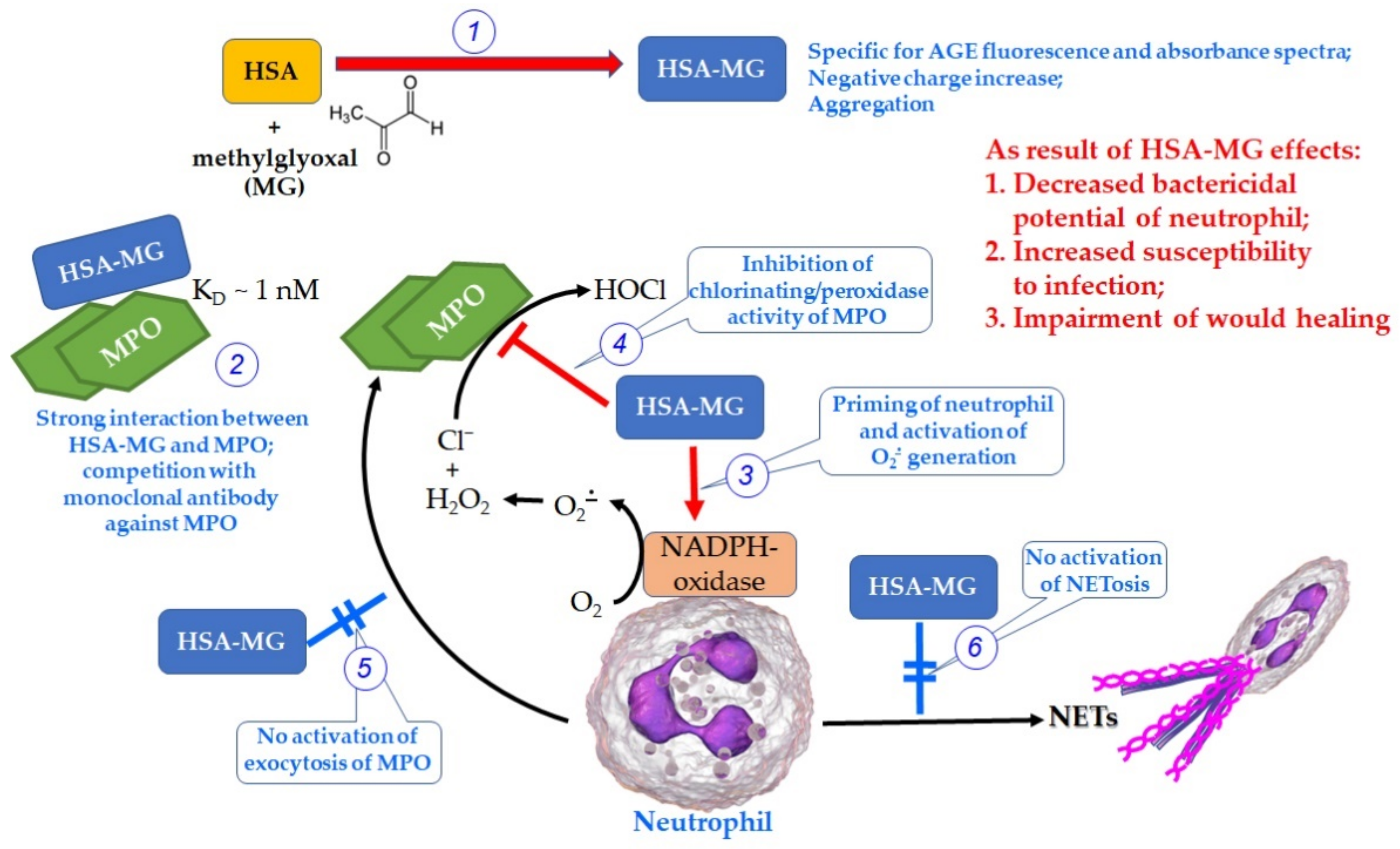 Antioxidants 11 02263 g012