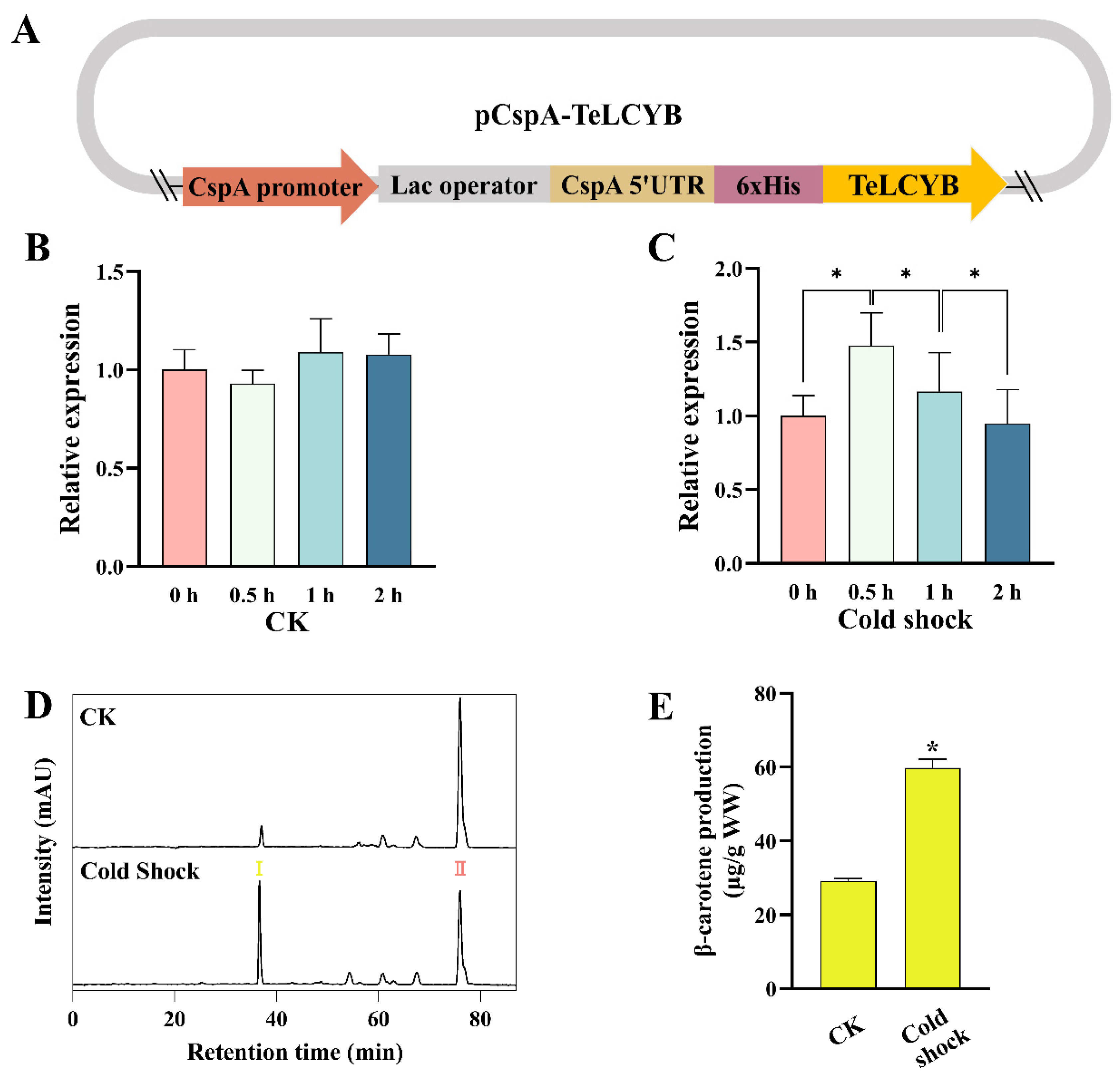 Antioxidants 11 02267 g004 Antioxidants 11 02267 g004