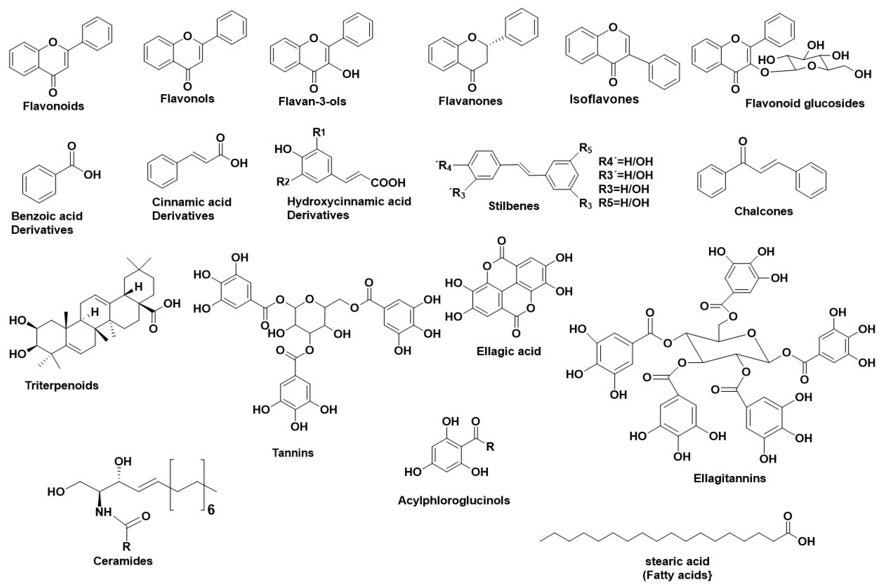 Antioxidants 11 02268 g001 Antioxidants 11 02268 g001