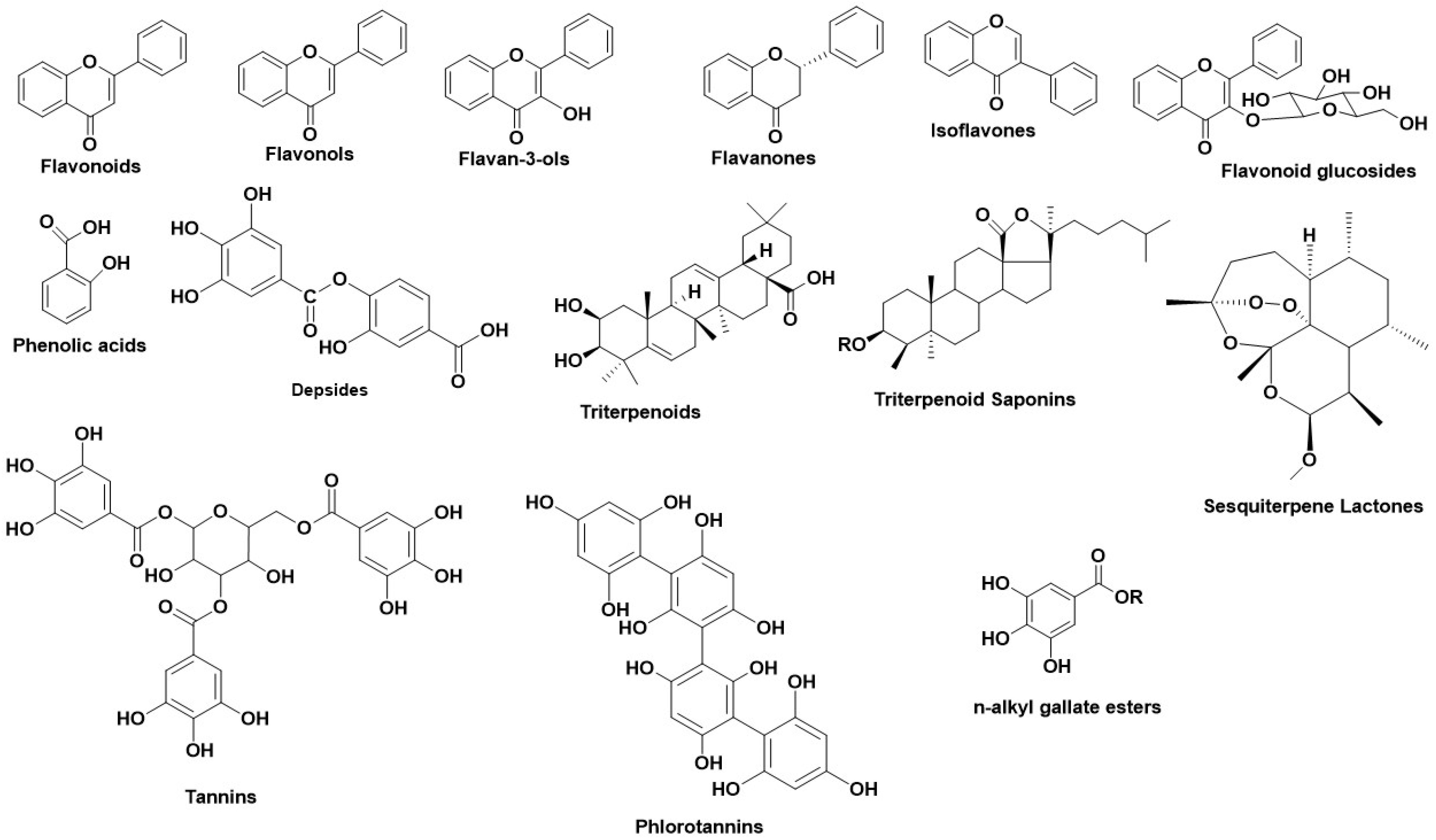 Antioxidants 11 02268 g002 Antioxidants 11 02268 g002