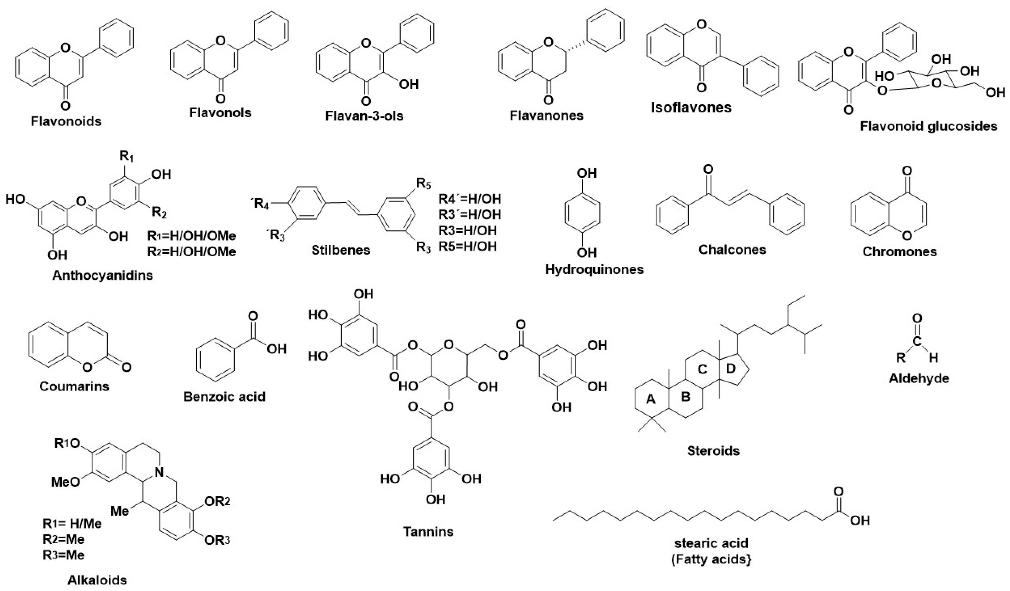 Antioxidants 11 02268 g003 Antioxidants 11 02268 g003