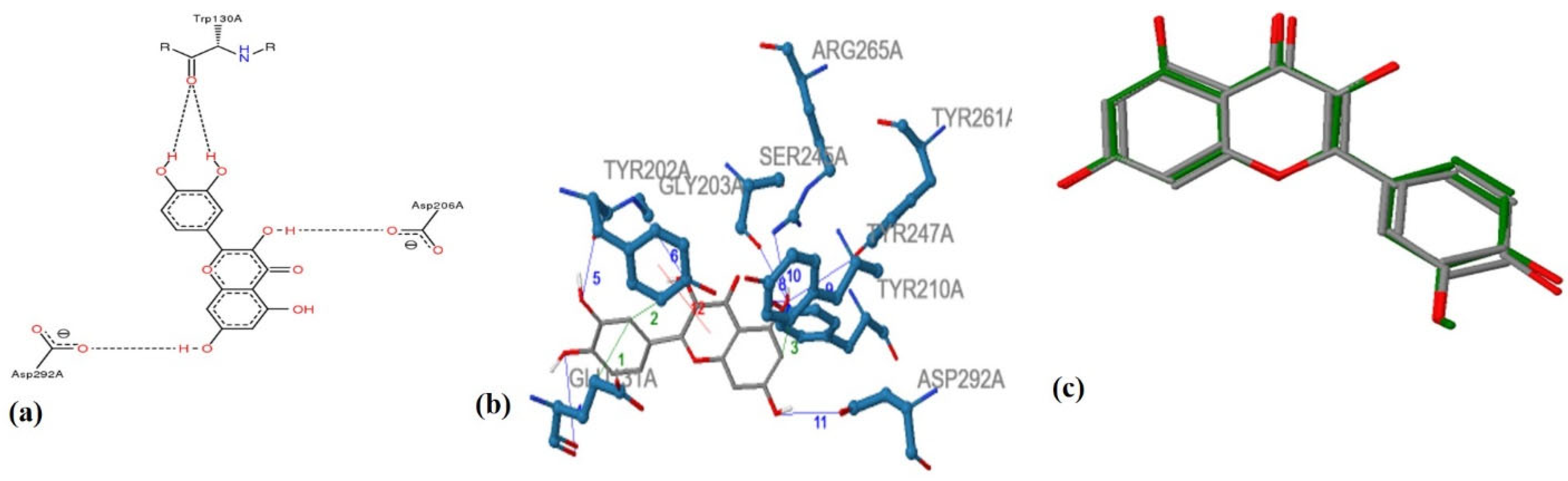 Antioxidants 11 02268 g004 Antioxidants 11 02268 g004