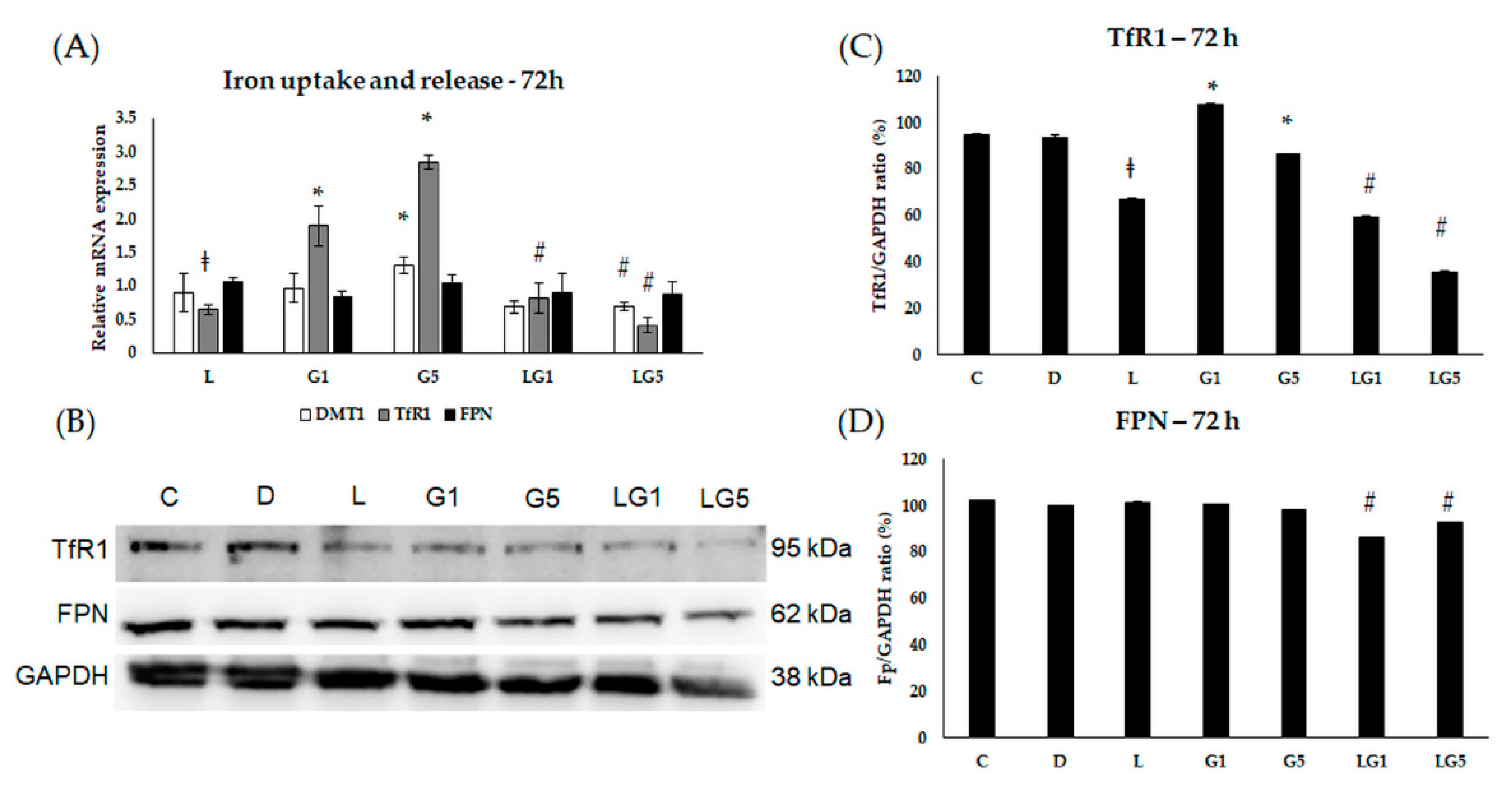 Antioxidants 11 02269 g008