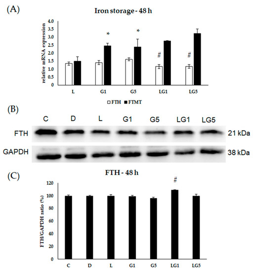 Antioxidants Free FullText Lutein Decreases Inflammation and