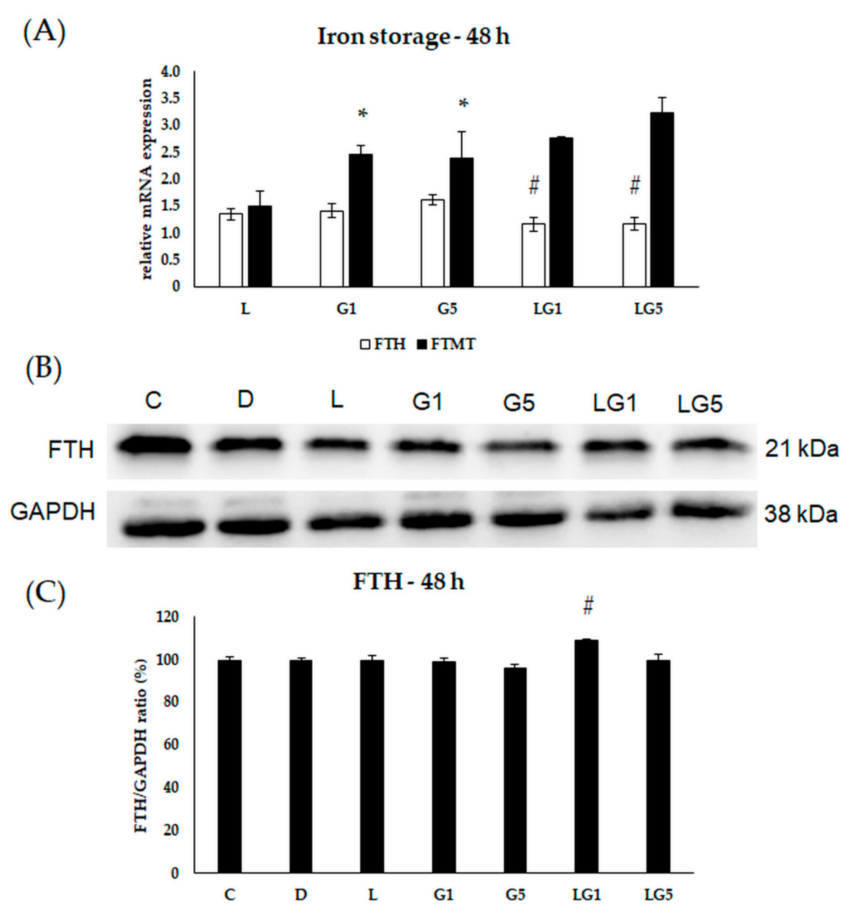 Antioxidants 11 02269 g010