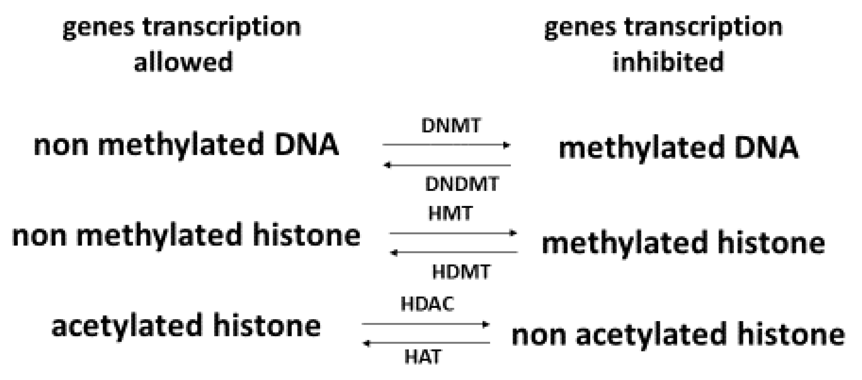 Antioxidants 11 02270 g003 Antioxidants 11 02270 g003