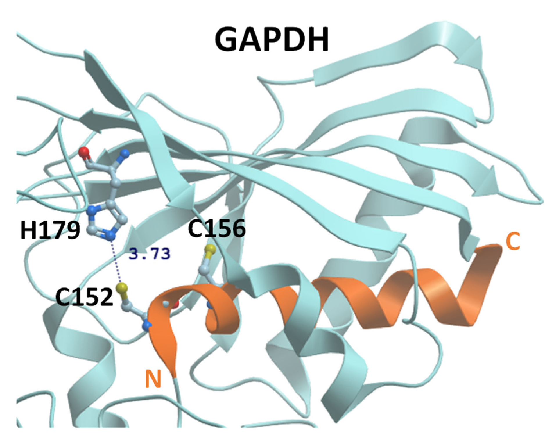 Antioxidants 11 02272 g001