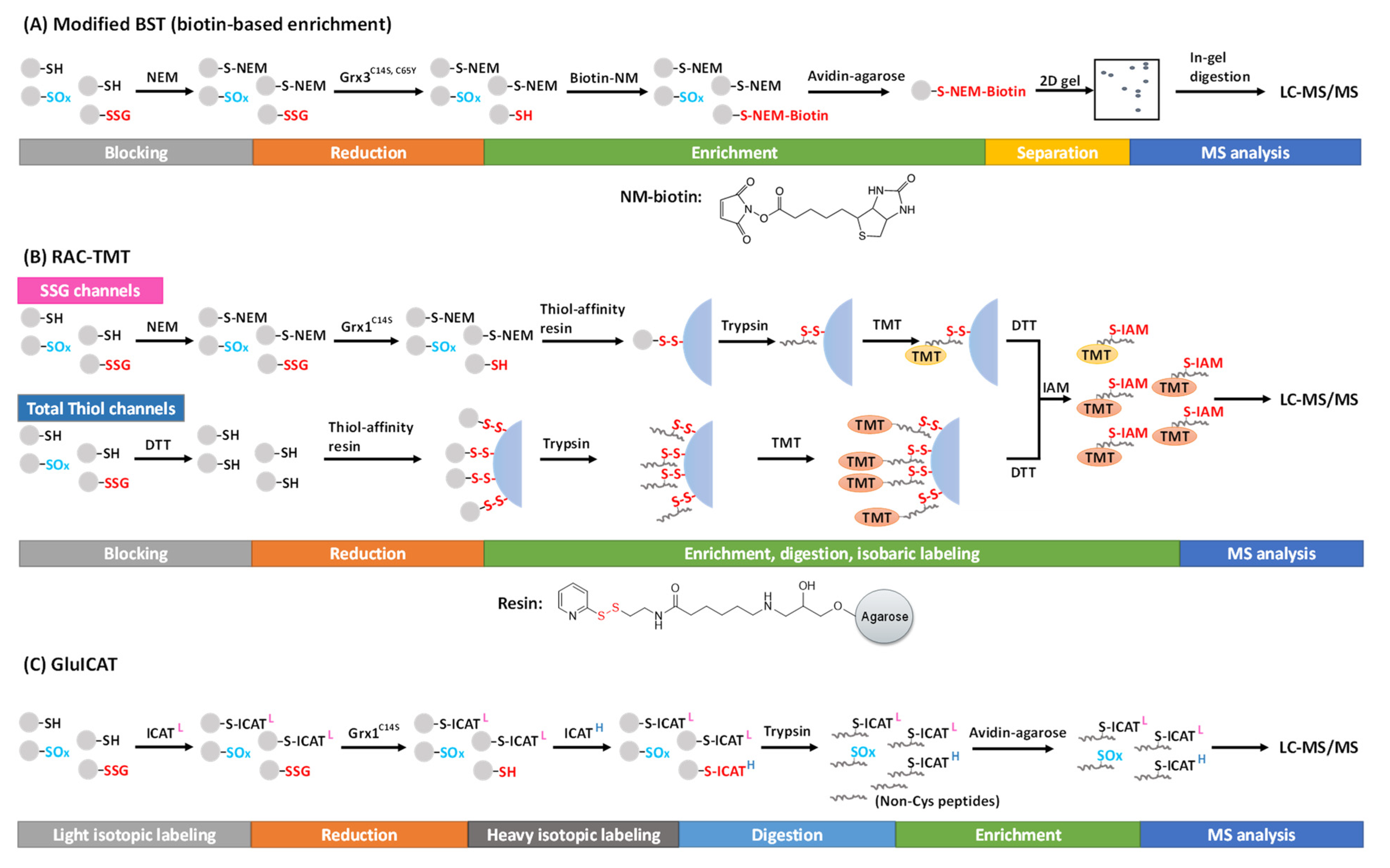Antioxidants 11 02272 g004
