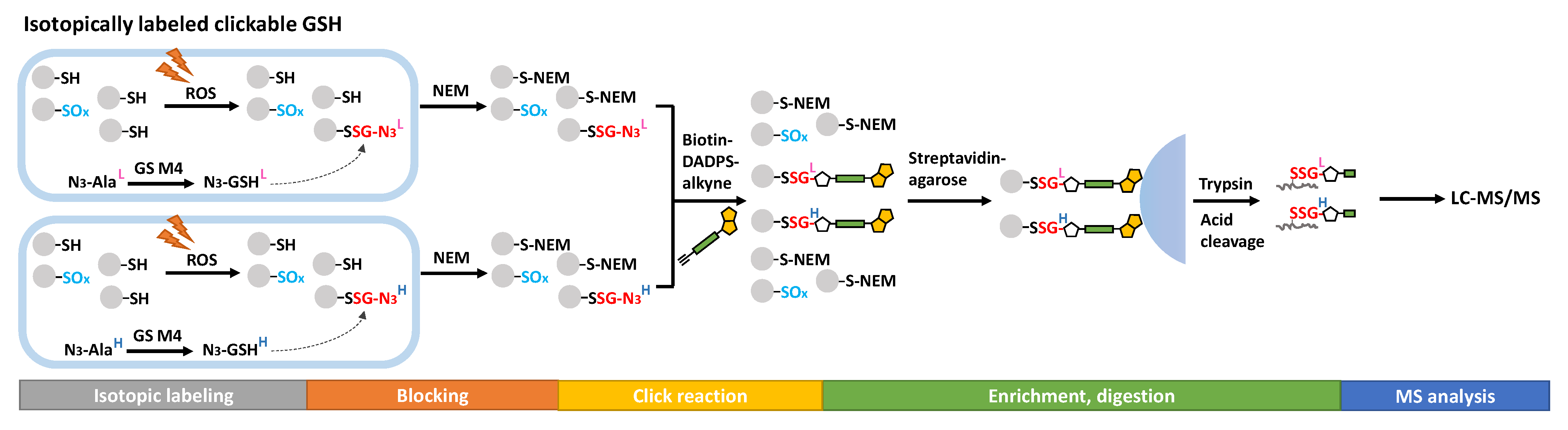 Antioxidants 11 02272 g005