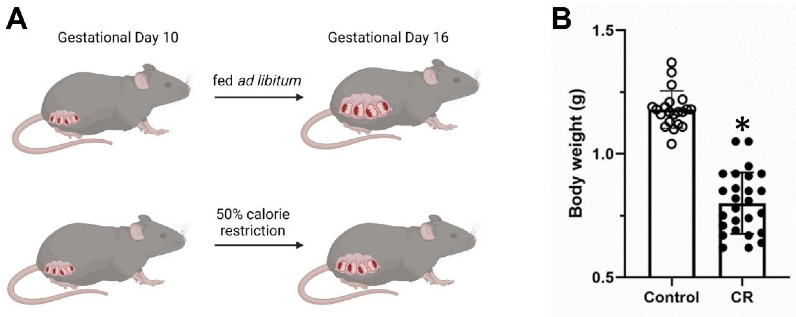 Antioxidants 11 02274 g001