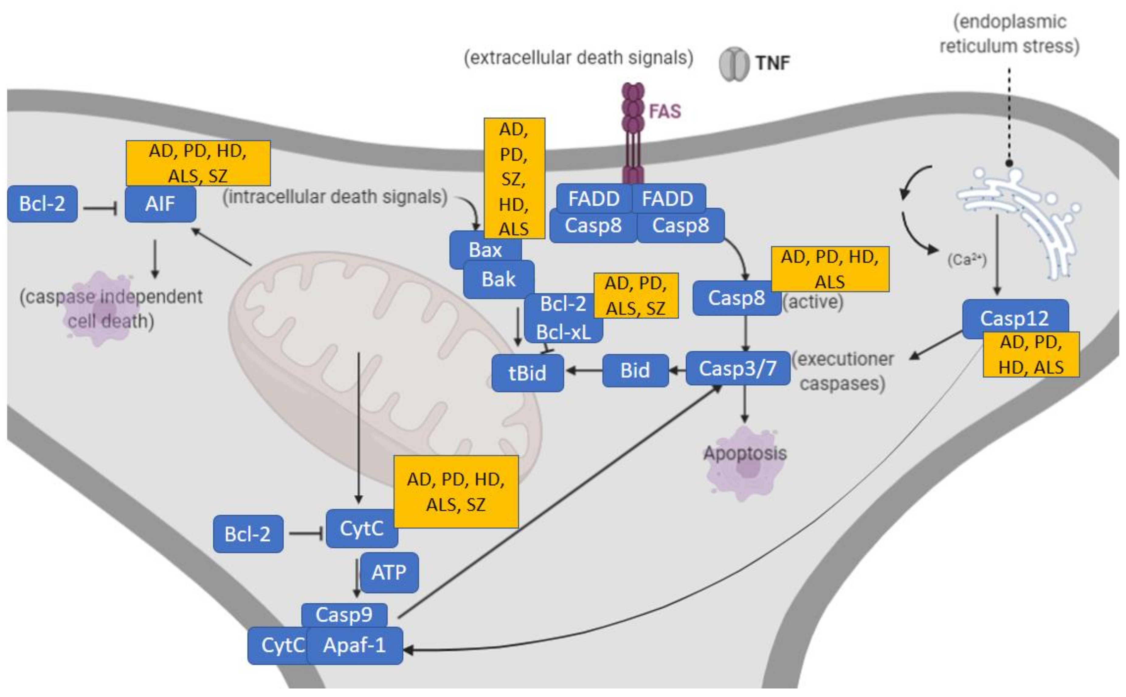 Antioxidants 11 02275 g002