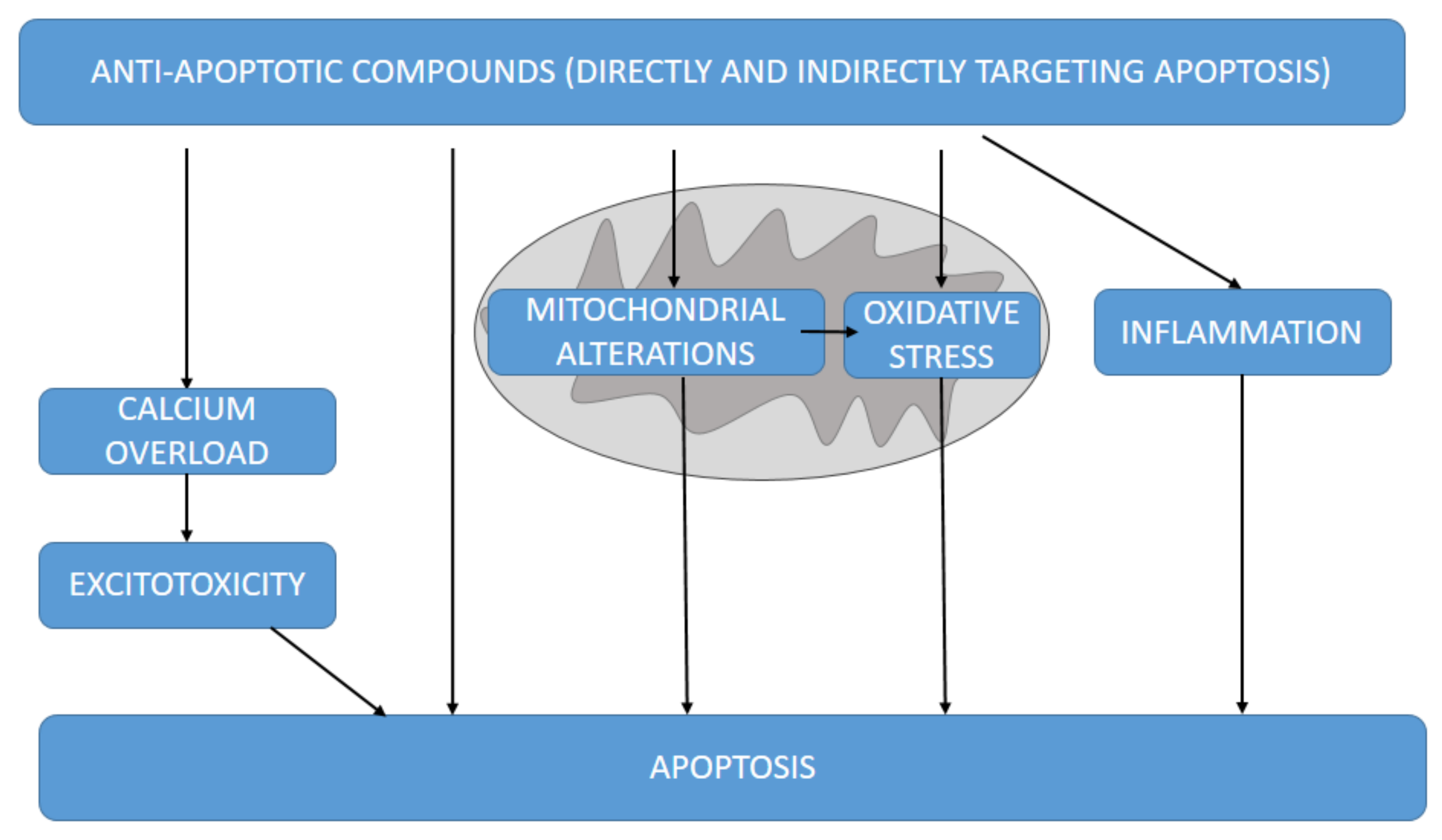 Antioxidants 11 02275 g003