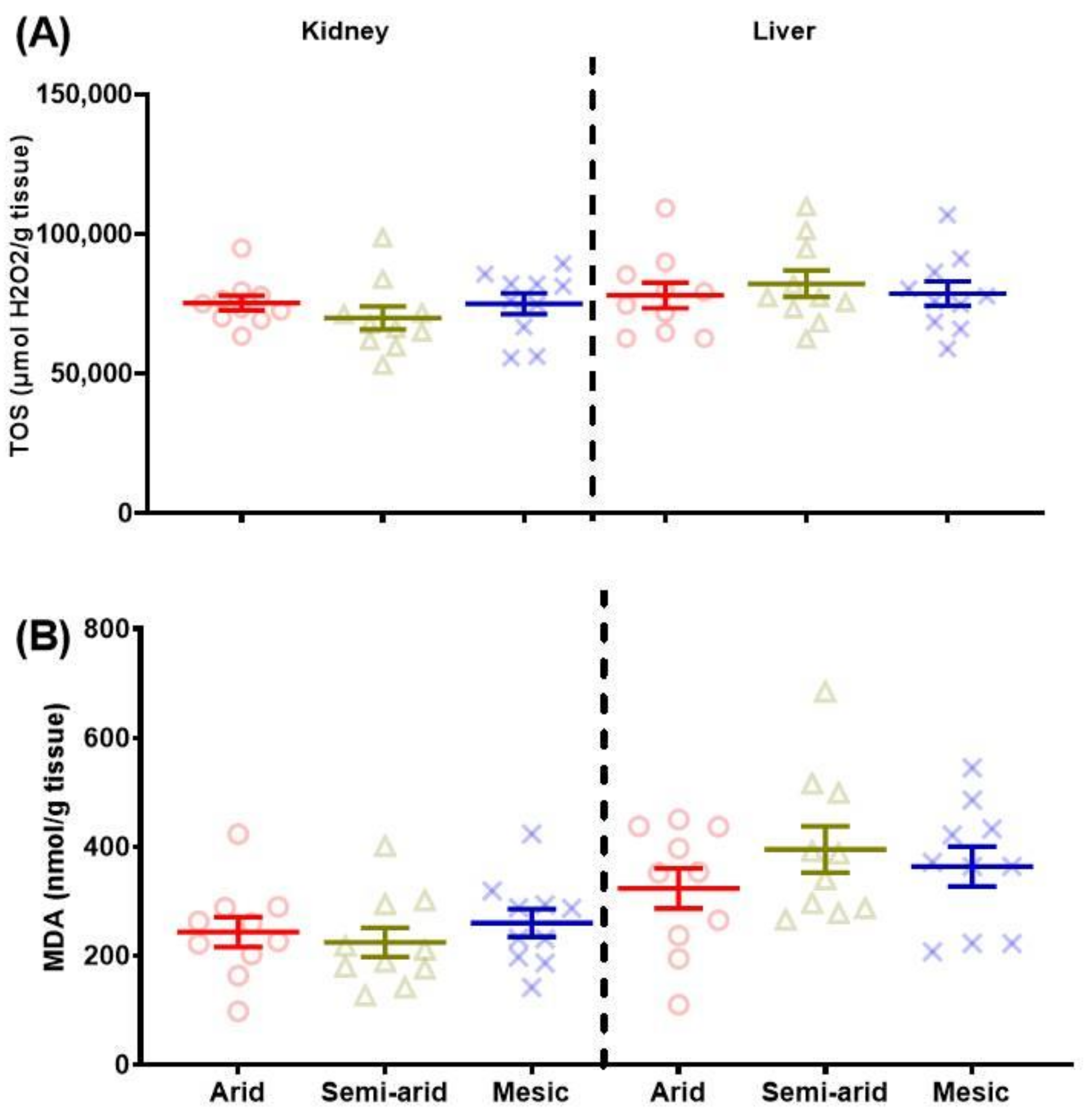 Antioxidants 11 02290 g002 Antioxidants 11 02290 g002