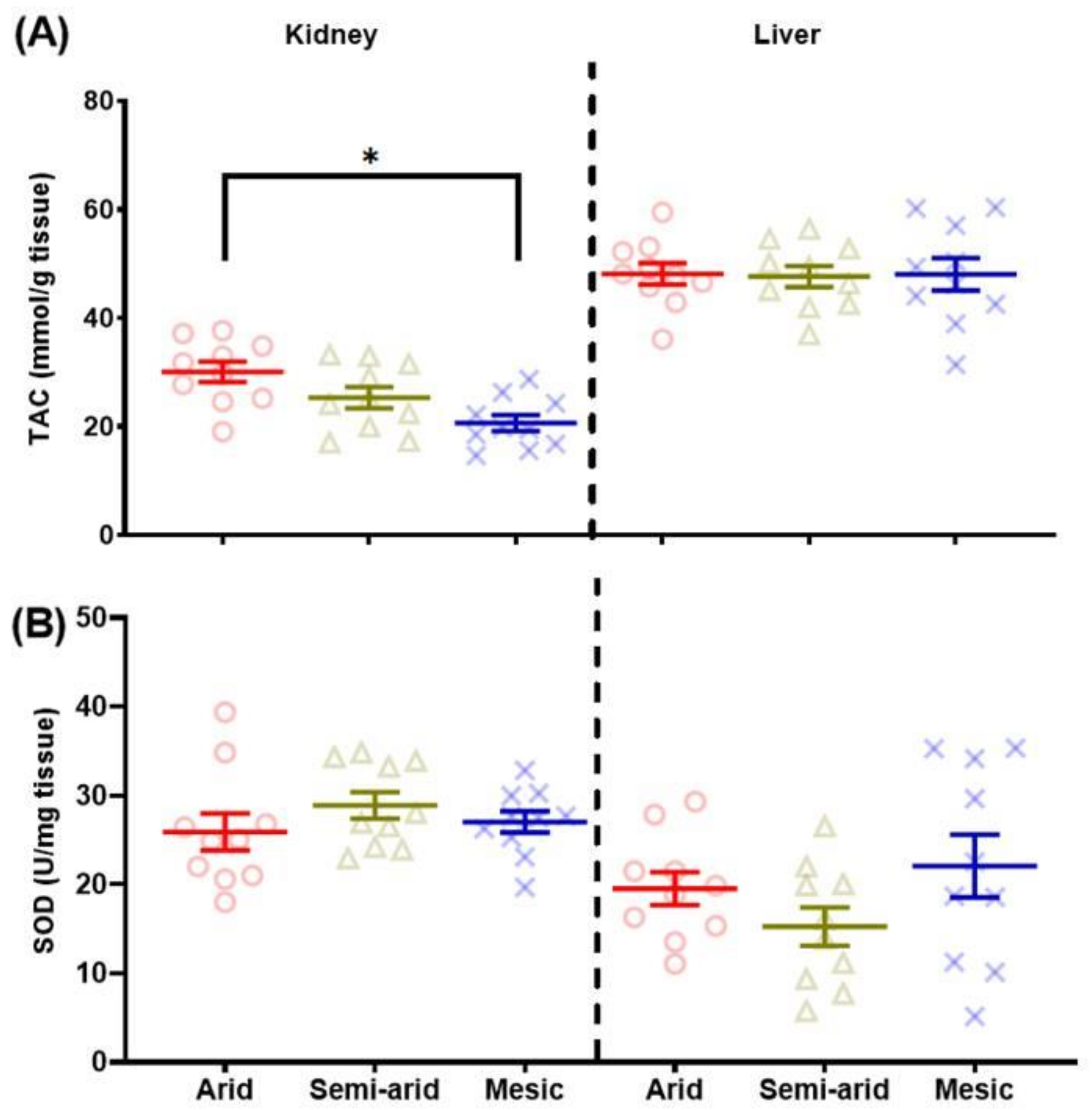 Antioxidants 11 02290 g003 Antioxidants 11 02290 g003